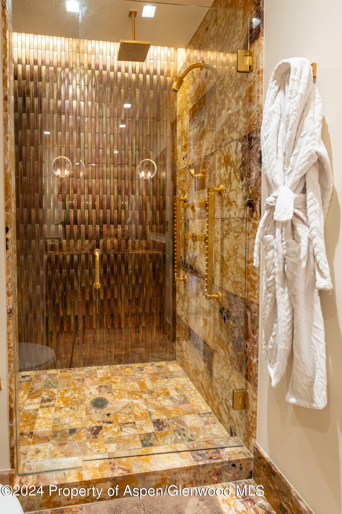 405 S Monarch Aspen CO 81611