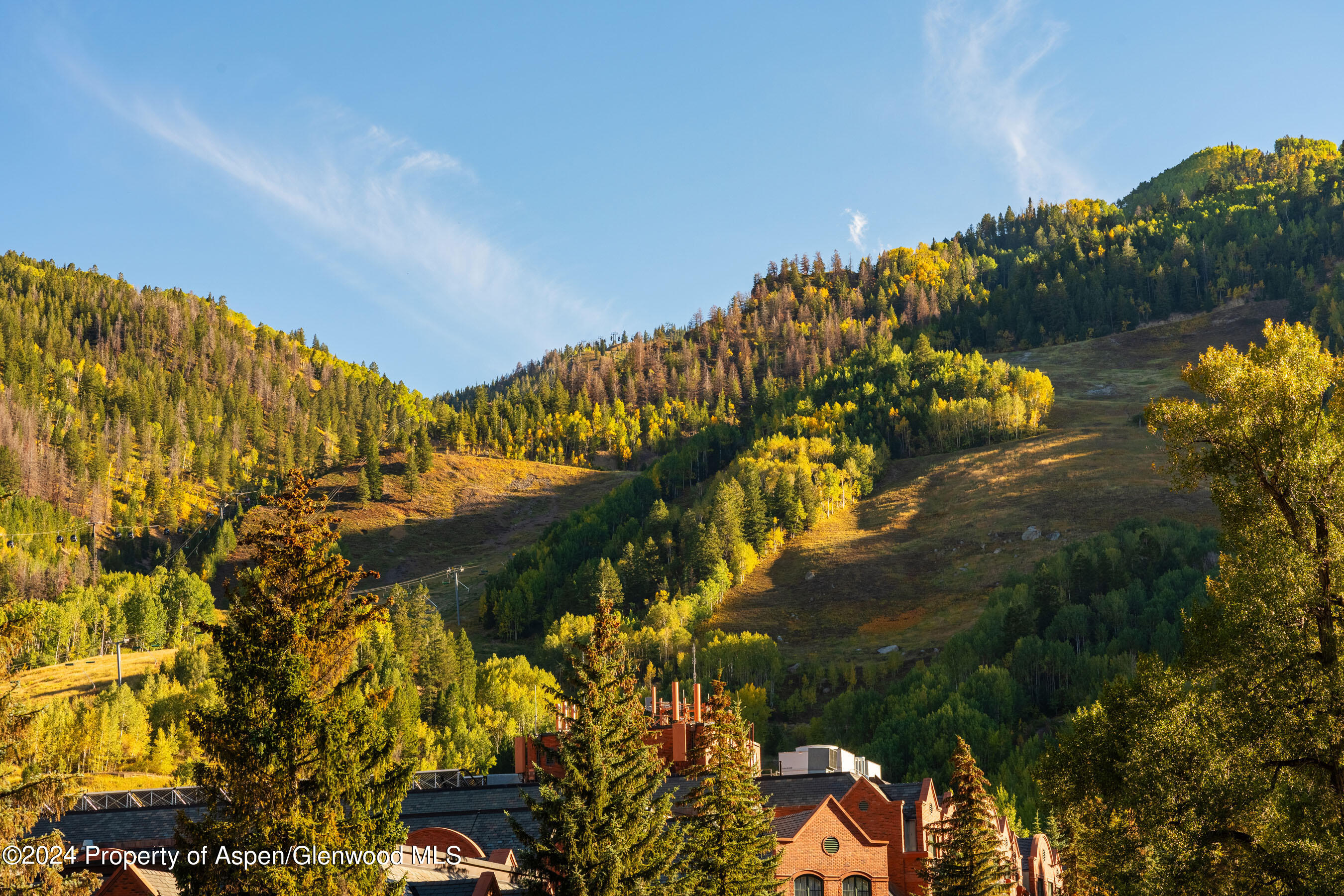 405 S Monarch Aspen CO 81611