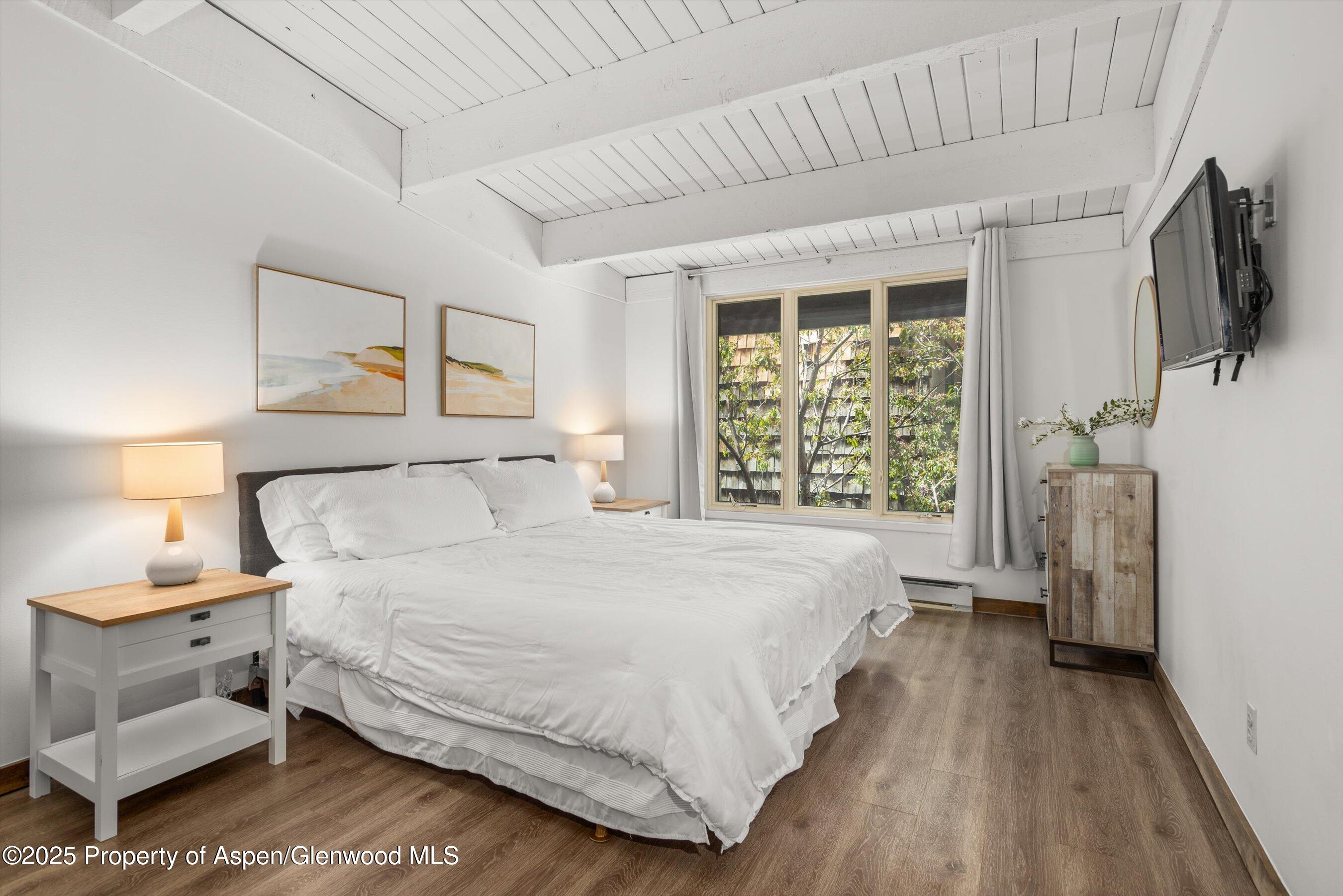 1039 E Cooper Avenue Aspen CO 81611