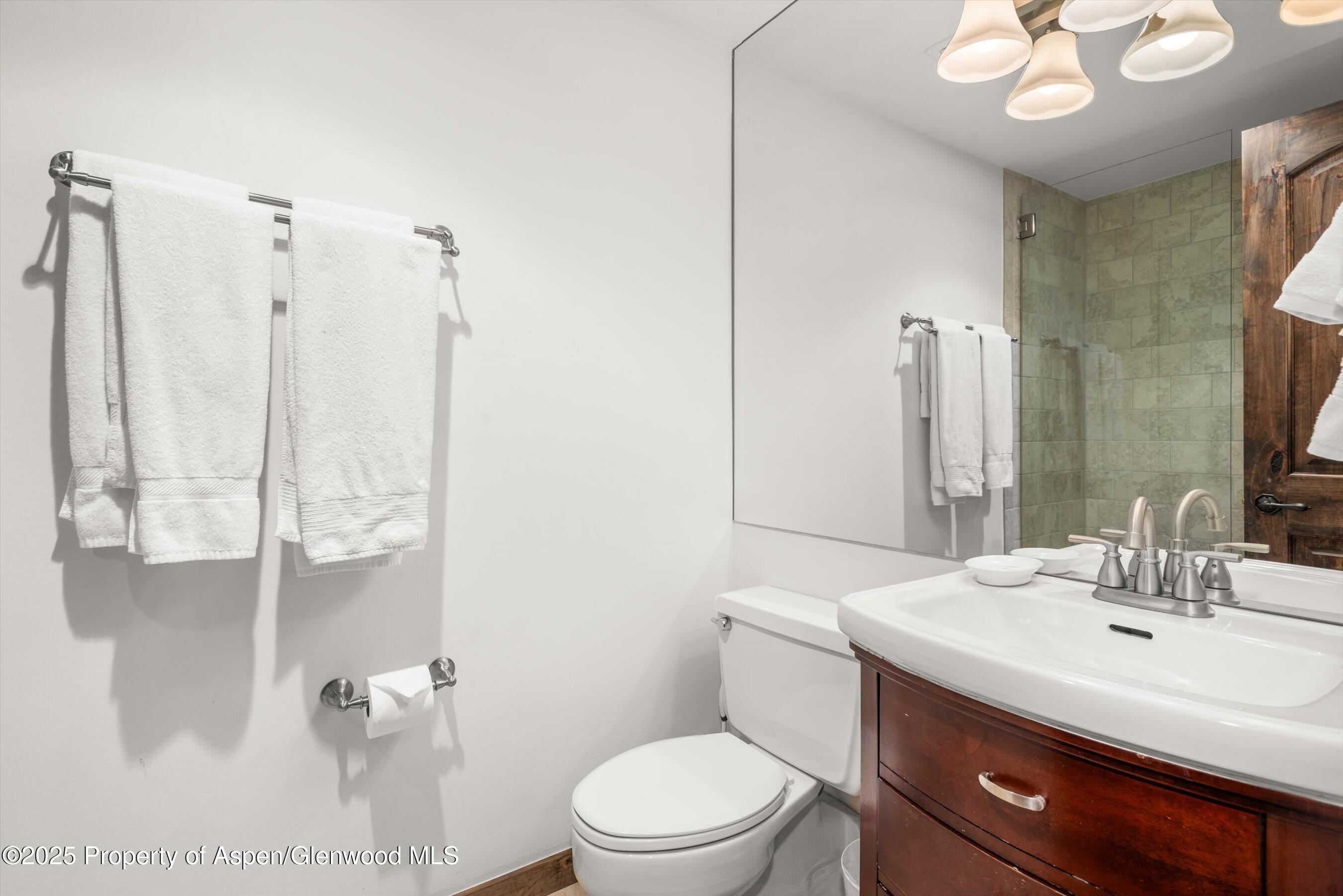 1039 E Cooper Avenue Aspen CO 81611