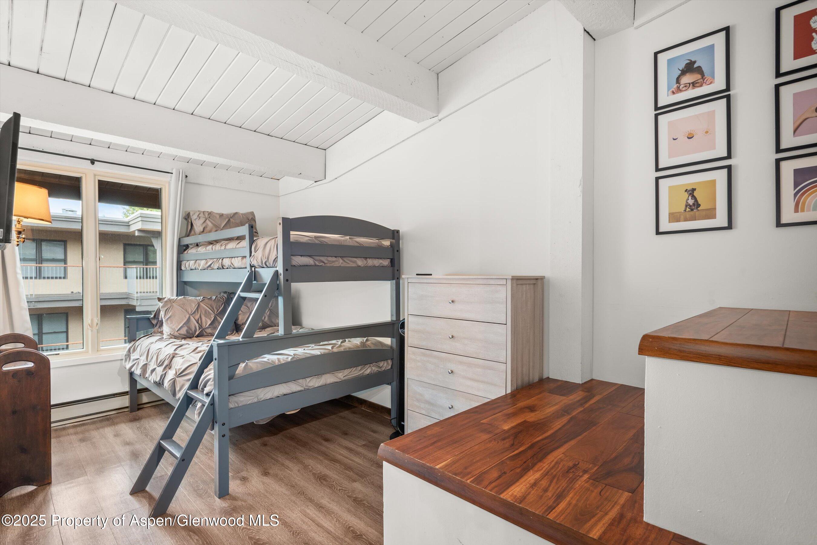 1039 E Cooper Avenue Aspen CO 81611