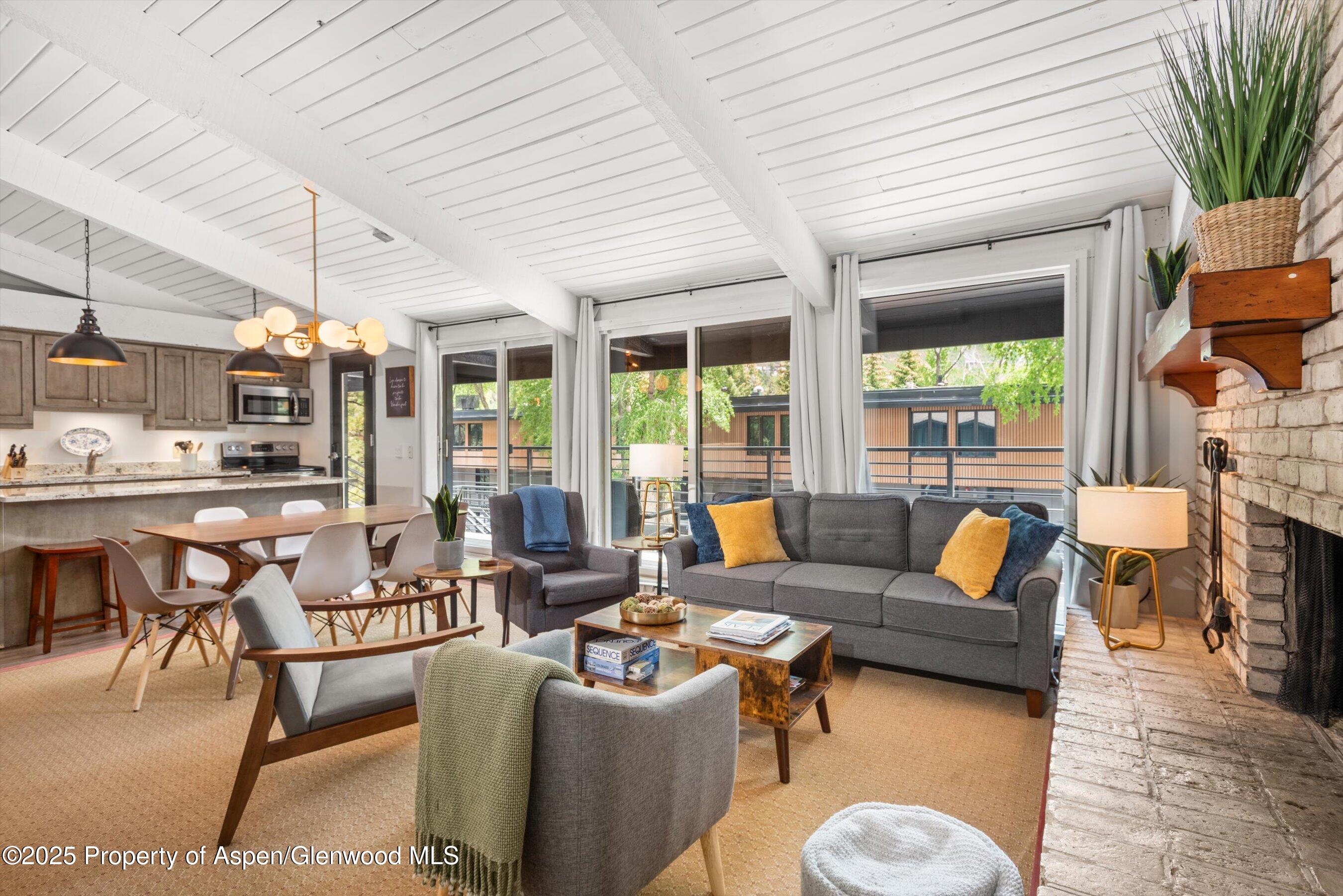 1039 E Cooper Avenue Aspen CO 81611