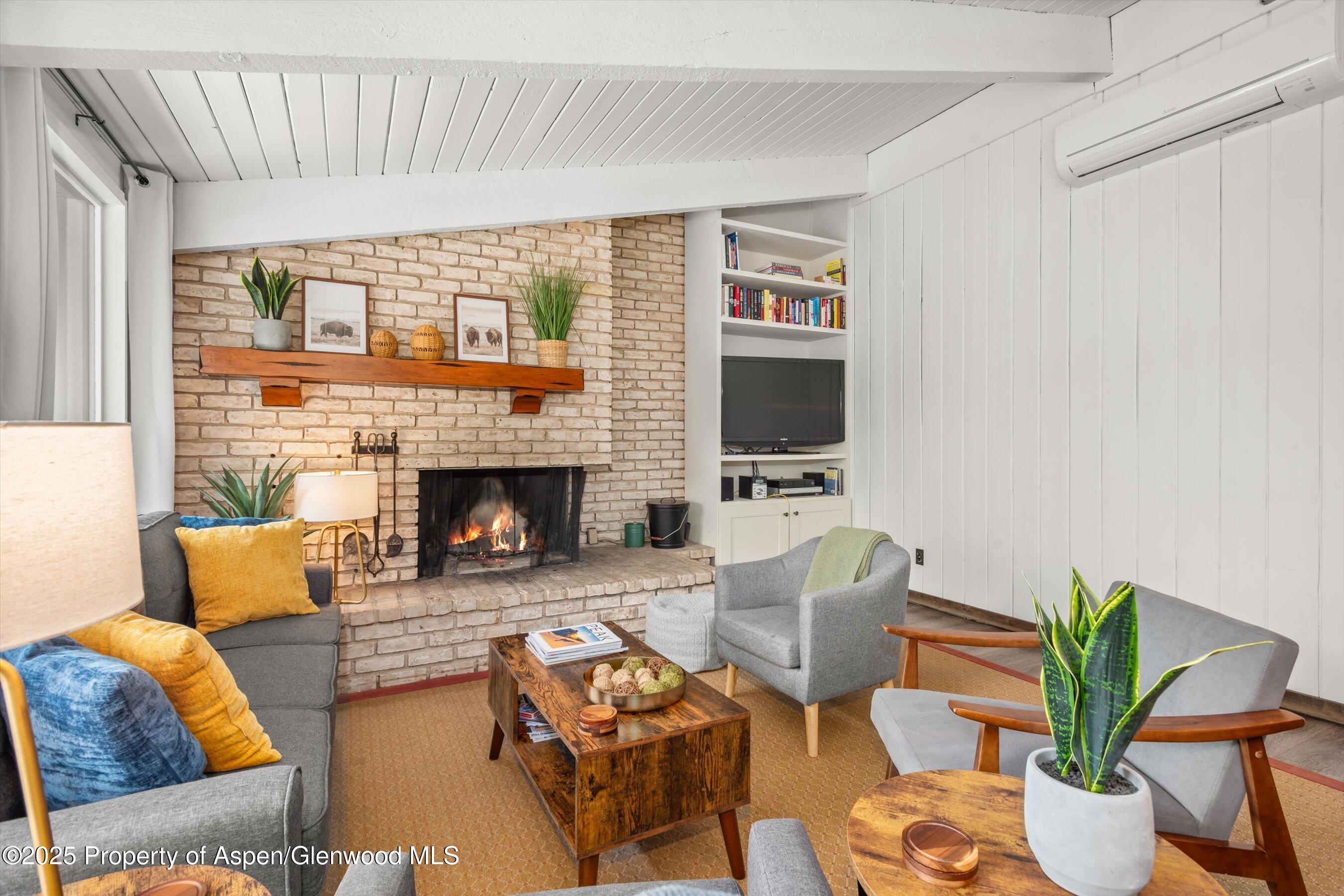 1039 E Cooper Avenue Aspen CO 81611