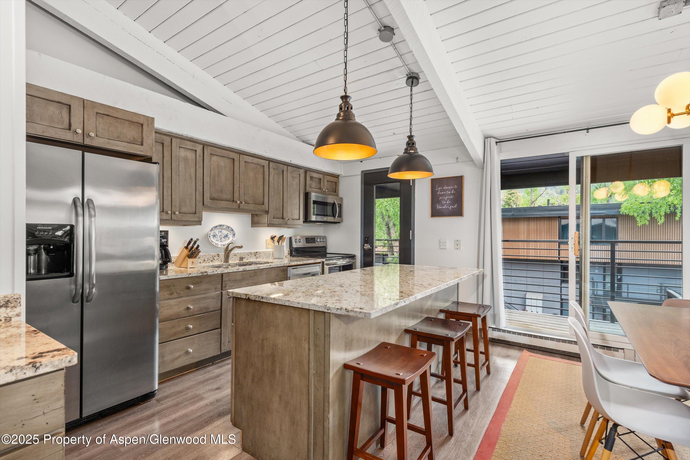 1039 E Cooper Avenue Aspen CO 81611