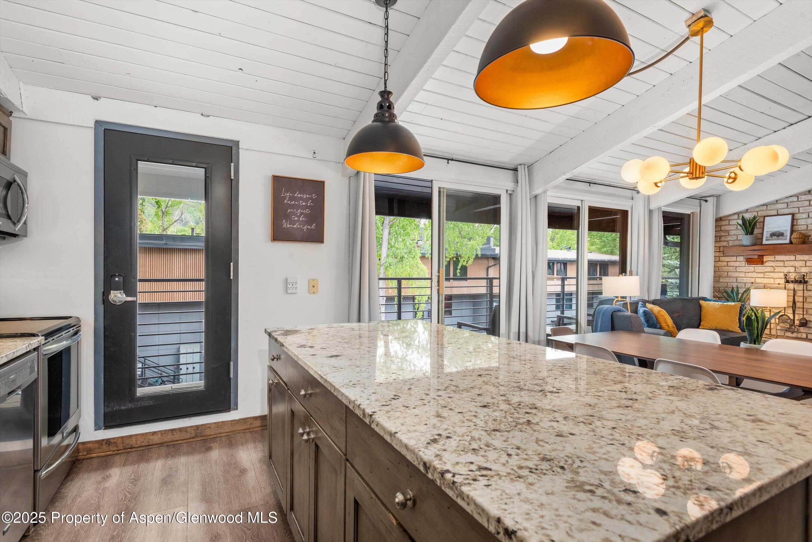 1039 E Cooper Avenue Aspen CO 81611