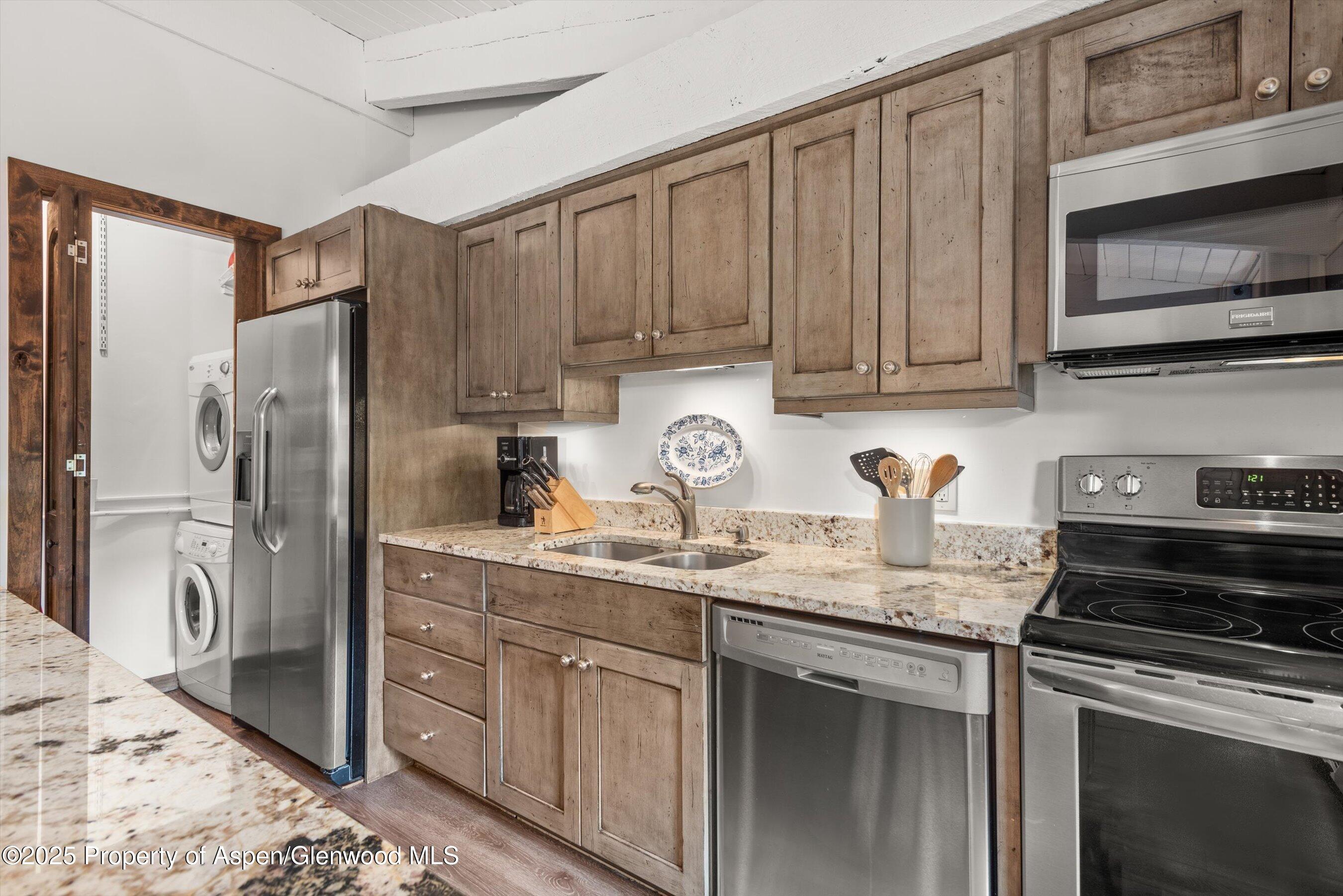 1039 E Cooper Avenue Aspen CO 81611