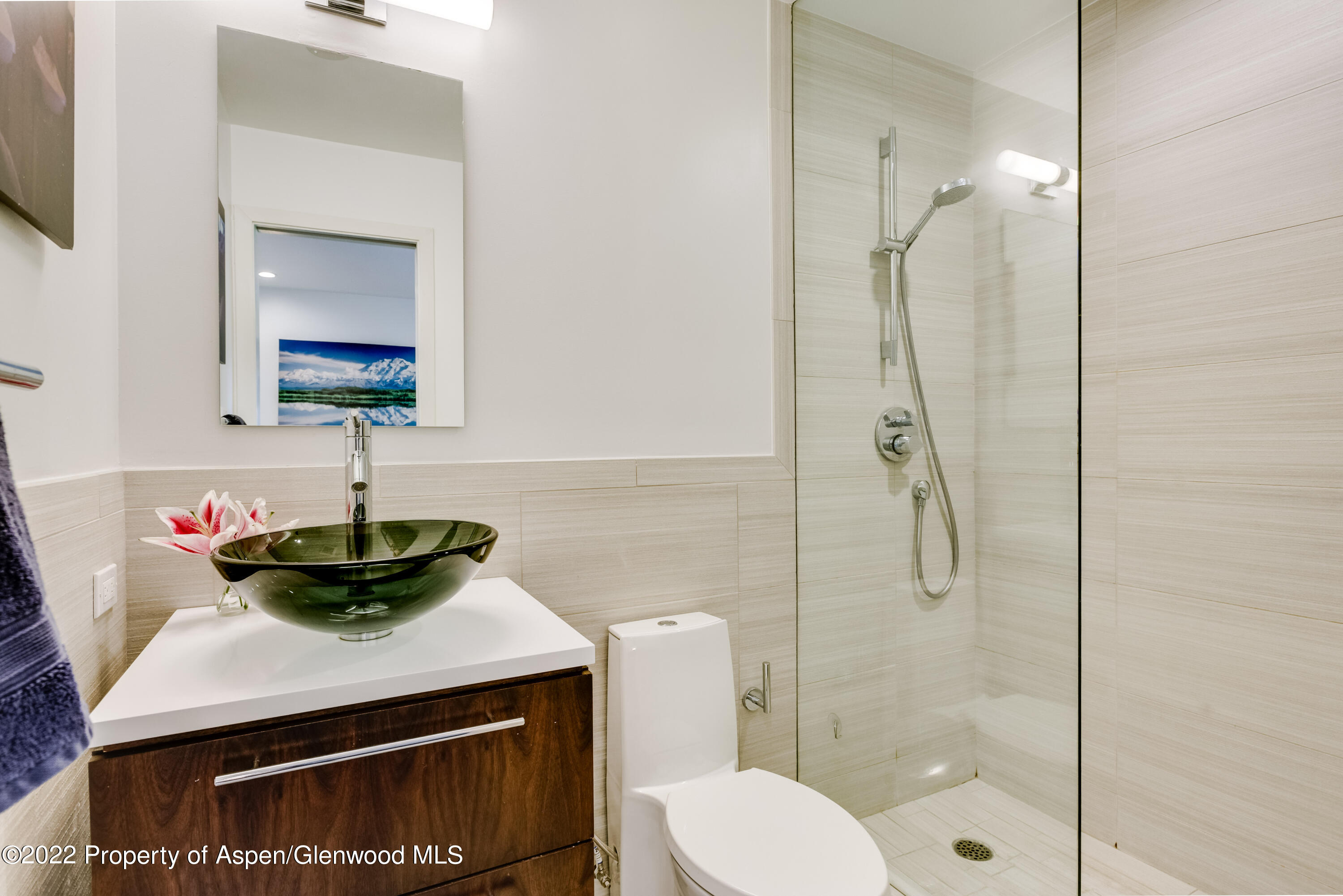 700 W Hopkins Avenue Aspen CO 81611