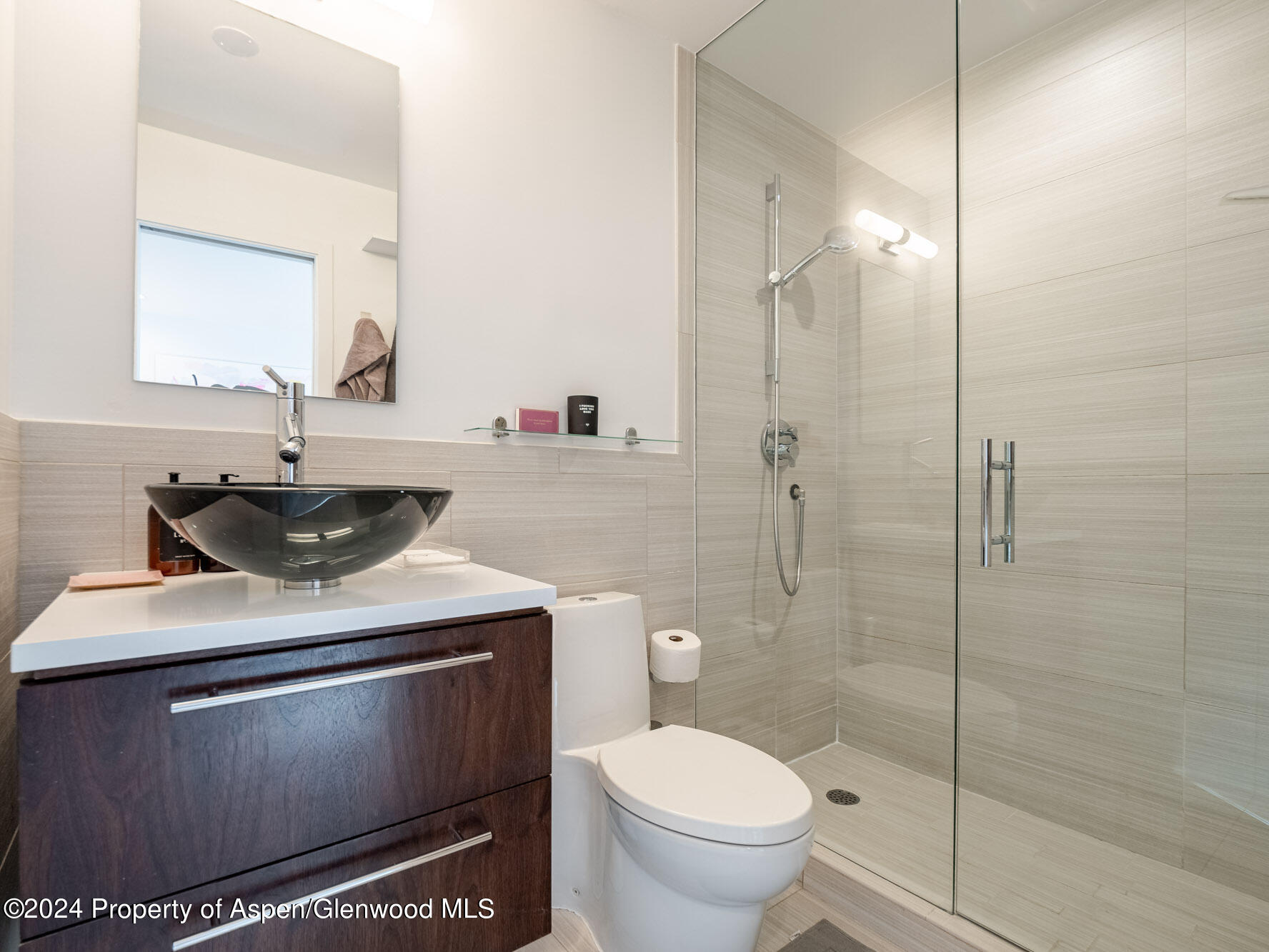 700 W Hopkins Avenue Aspen CO 81611