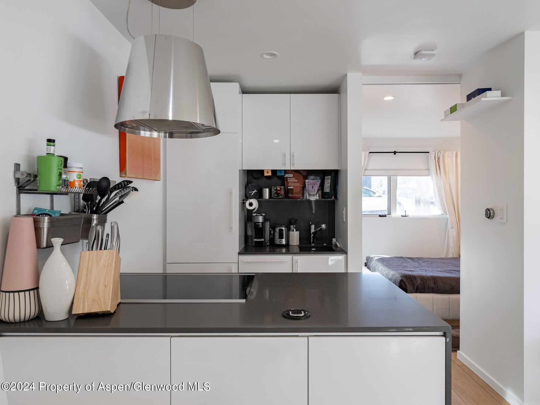 700 W Hopkins Avenue Aspen CO 81611