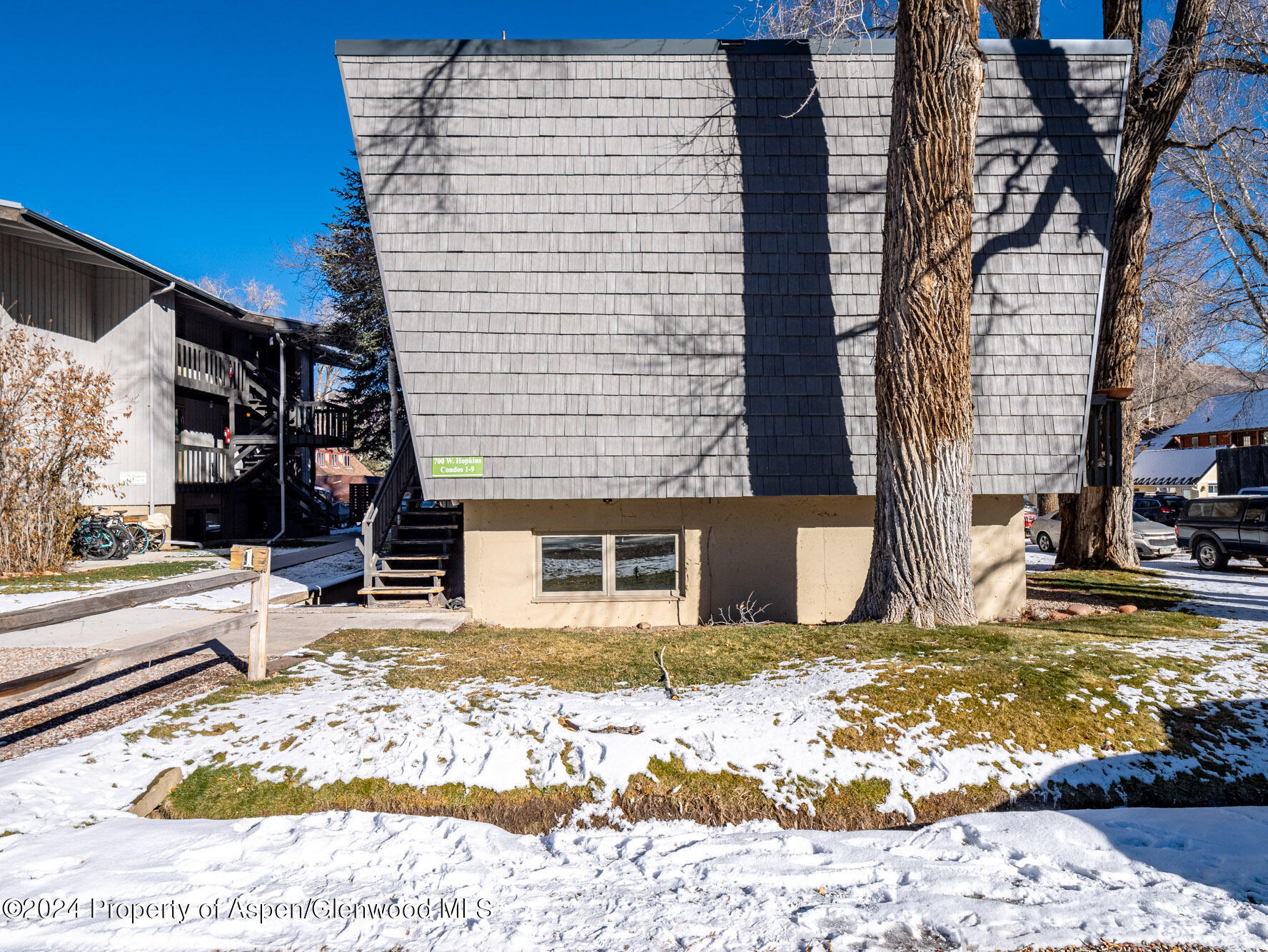 700 W Hopkins Avenue Aspen CO 81611