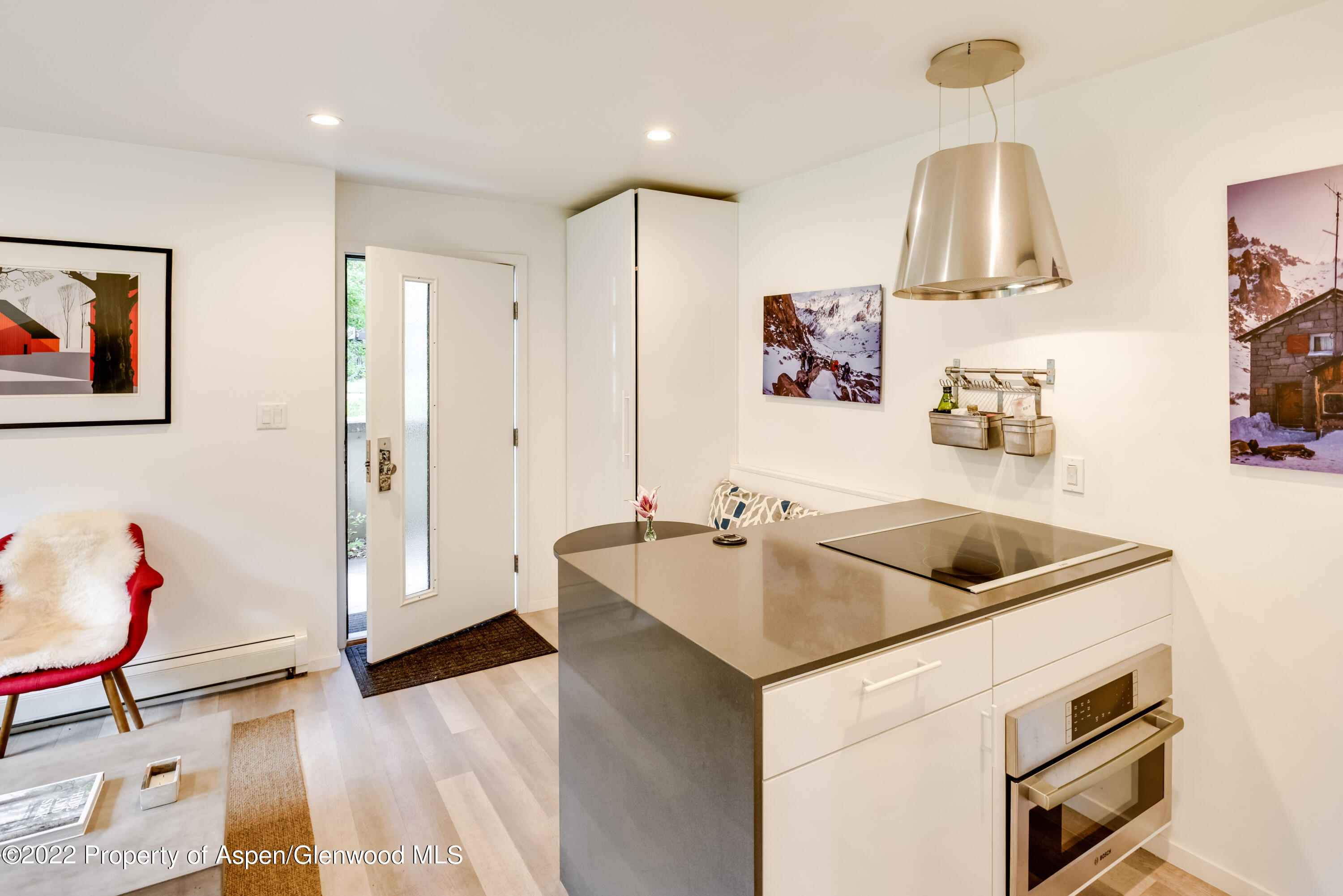 700 W Hopkins Avenue Aspen CO 81611