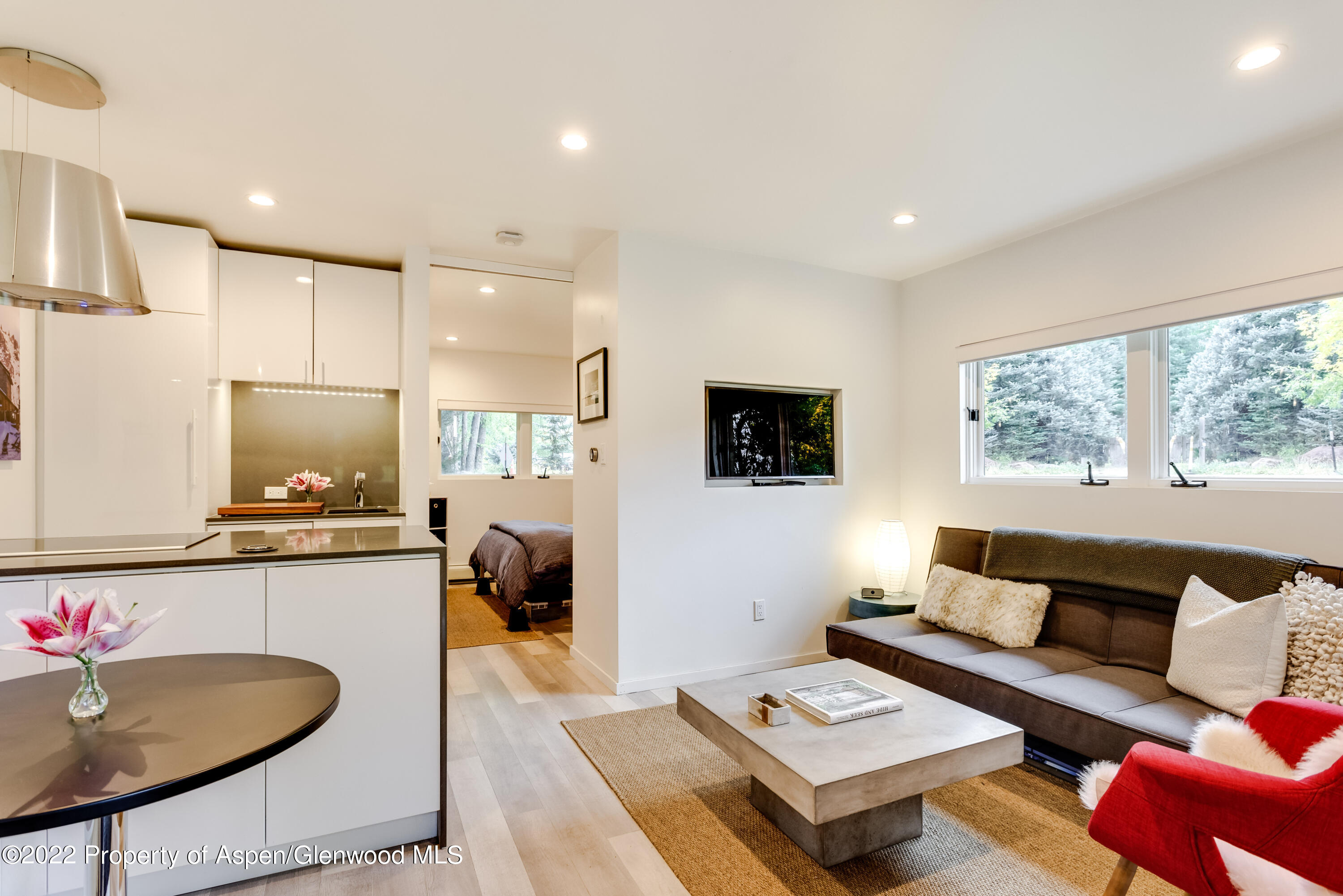 700 W Hopkins Avenue Aspen CO 81611