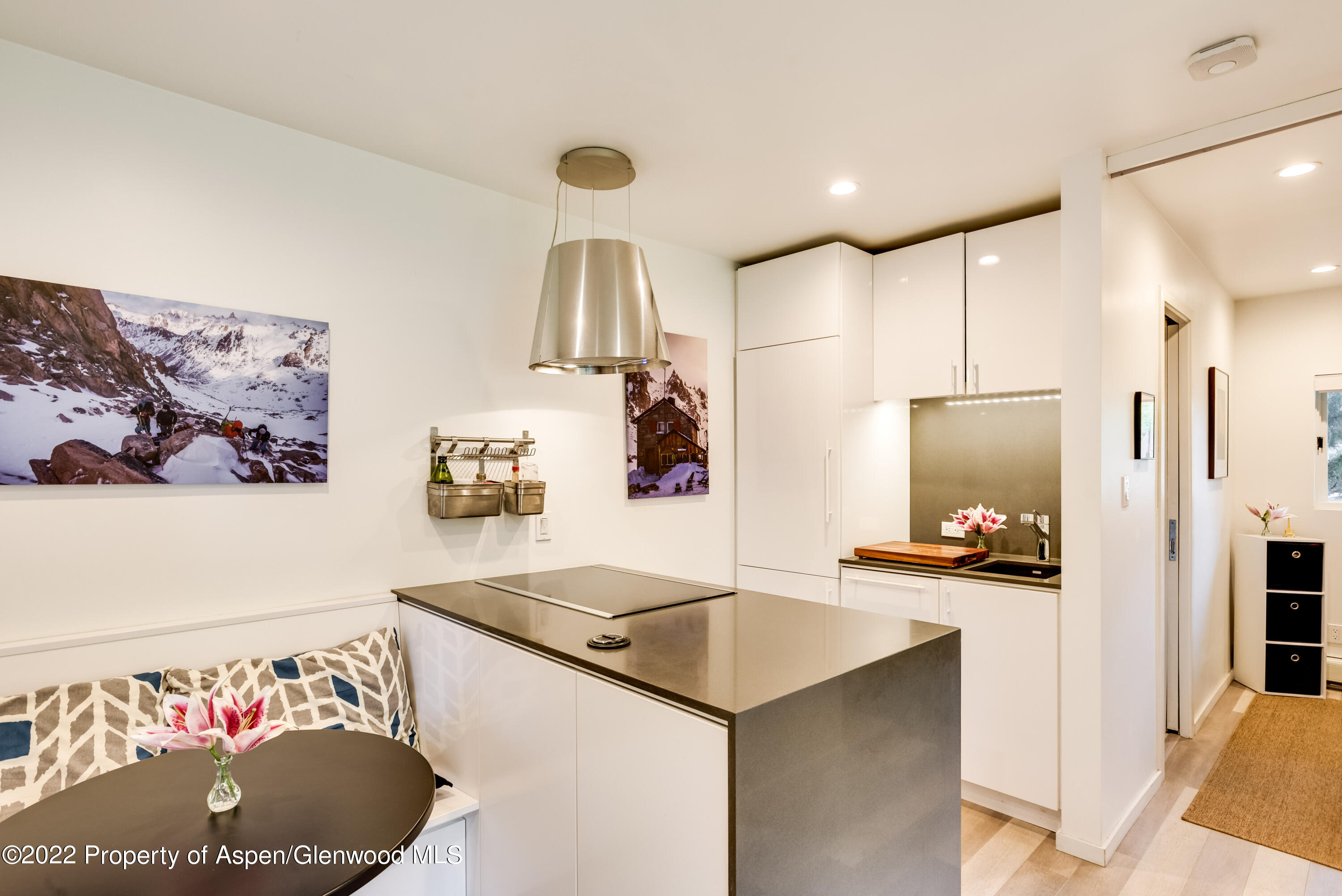 700 W Hopkins Avenue Aspen CO 81611