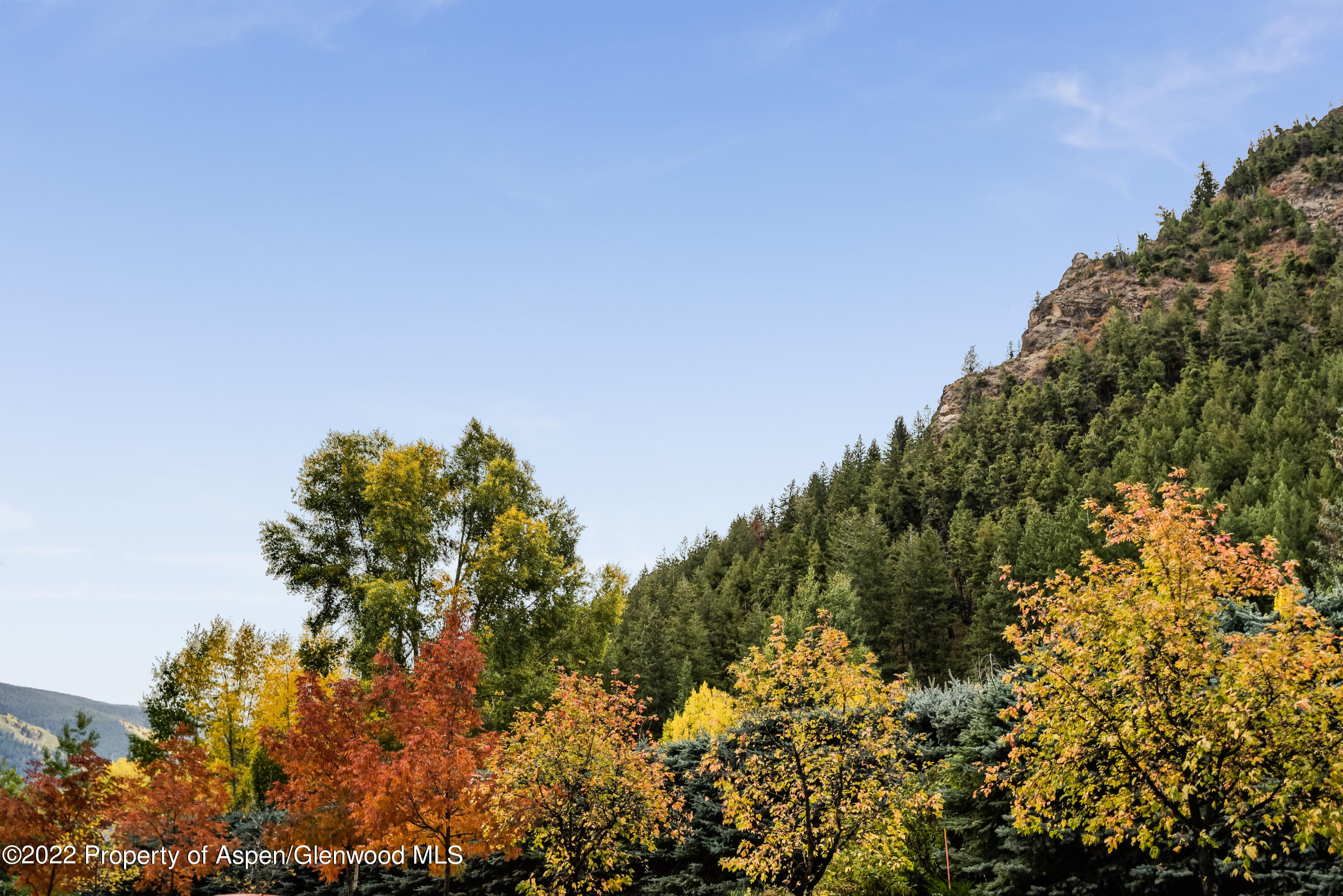 700 W Hopkins Avenue Aspen CO 81611