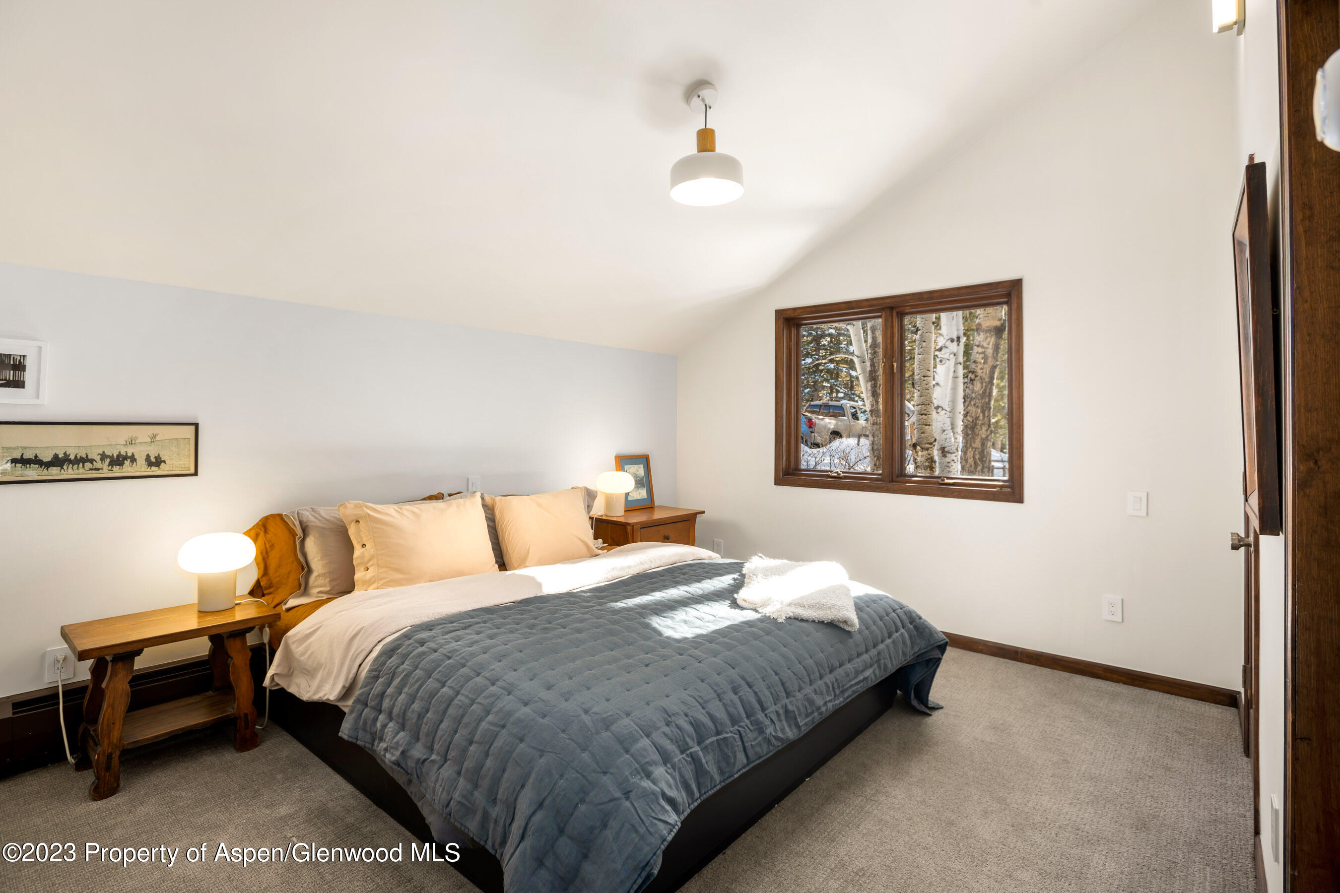 1036 Red Mountain Road Aspen CO 81611