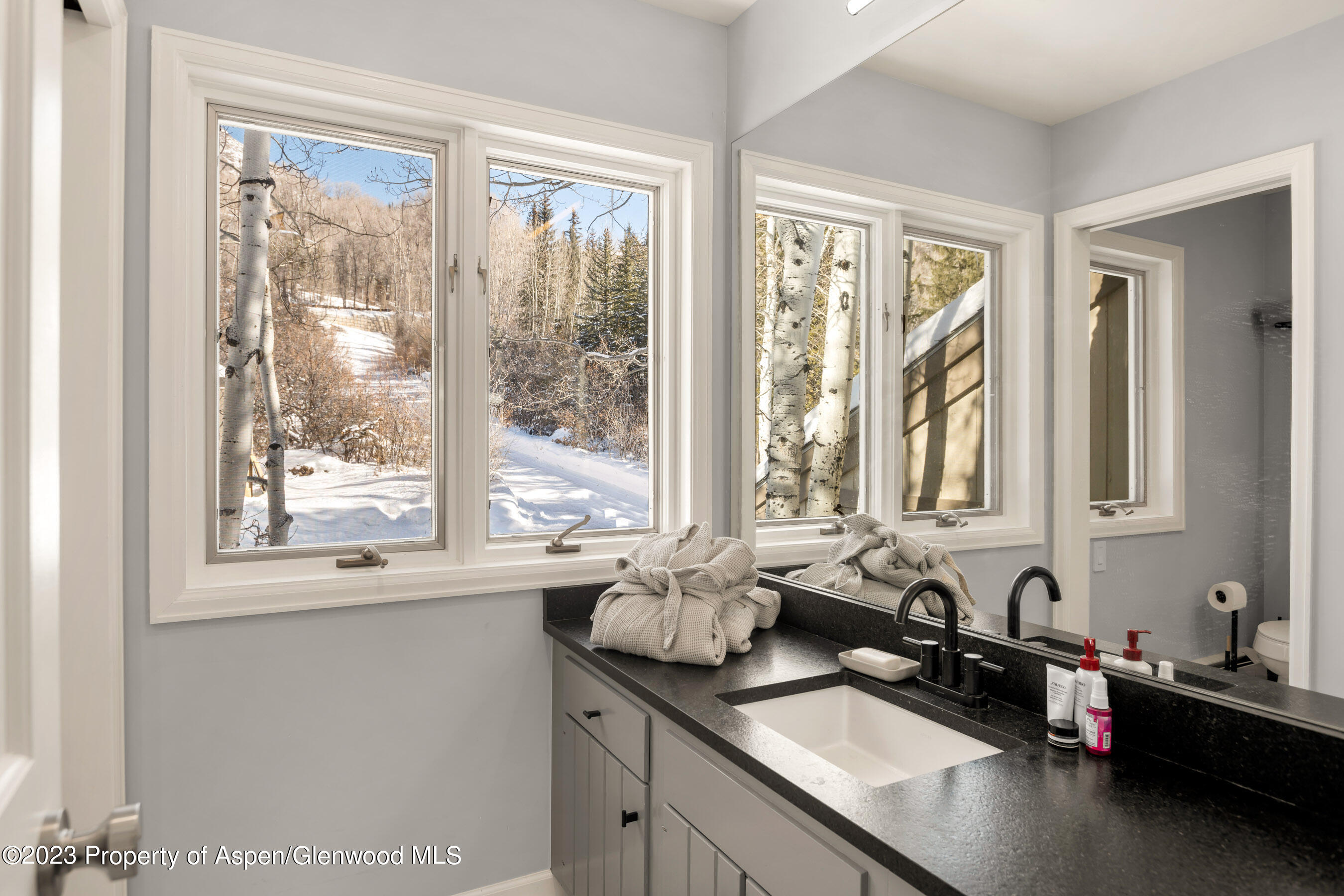 1036 Red Mountain Road Aspen CO 81611