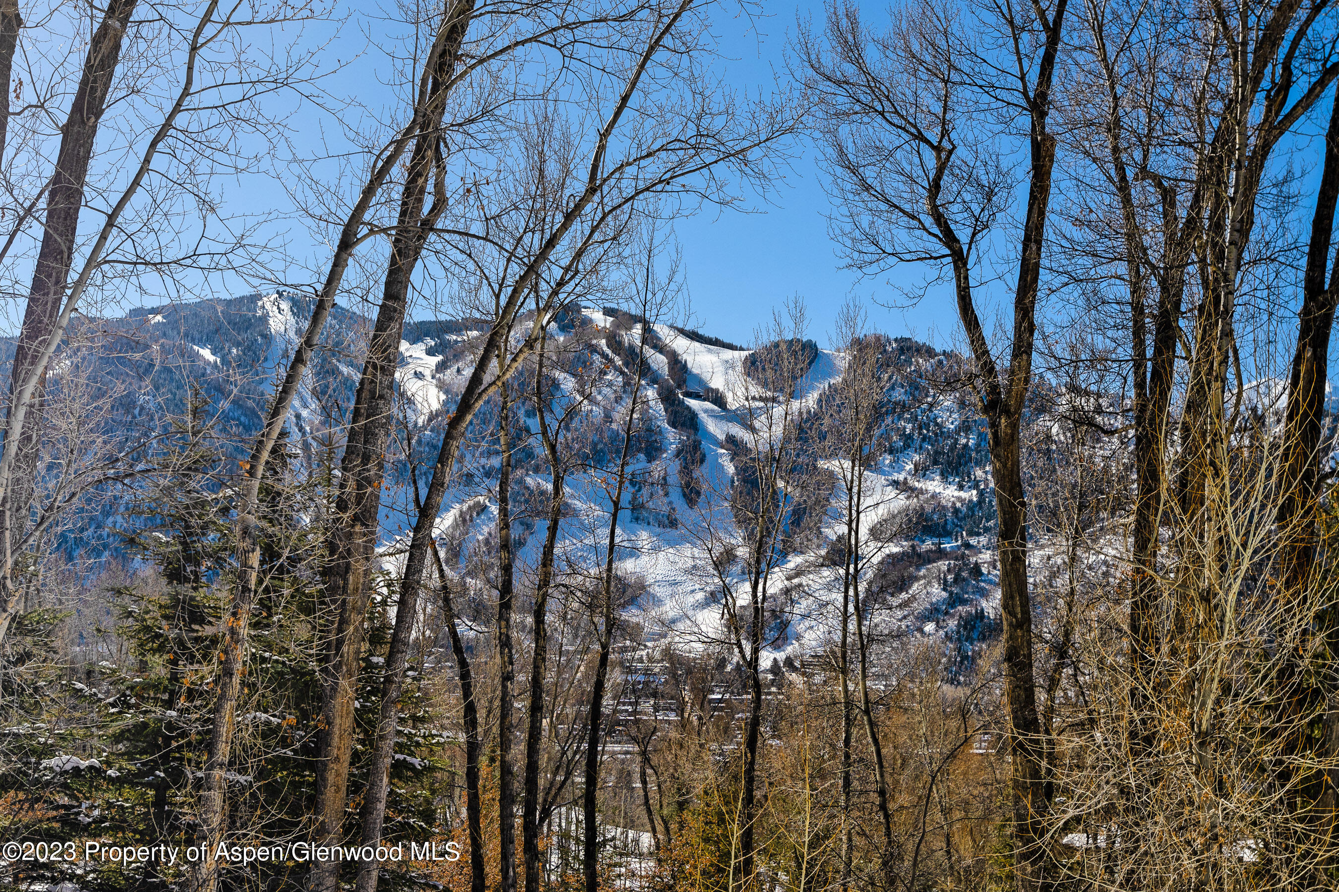 1036 Red Mountain Road Aspen CO 81611