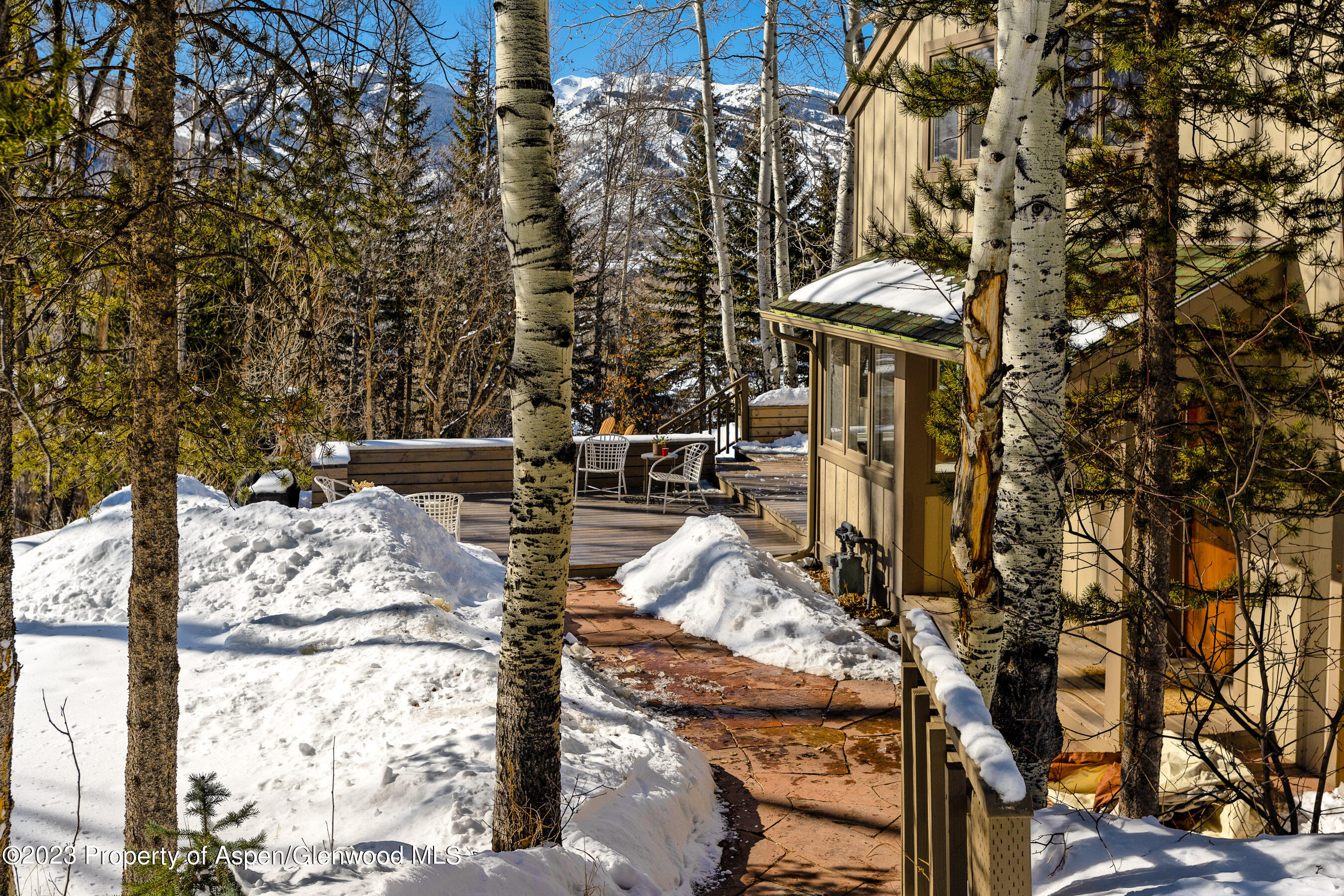 1036 Red Mountain Road Aspen CO 81611