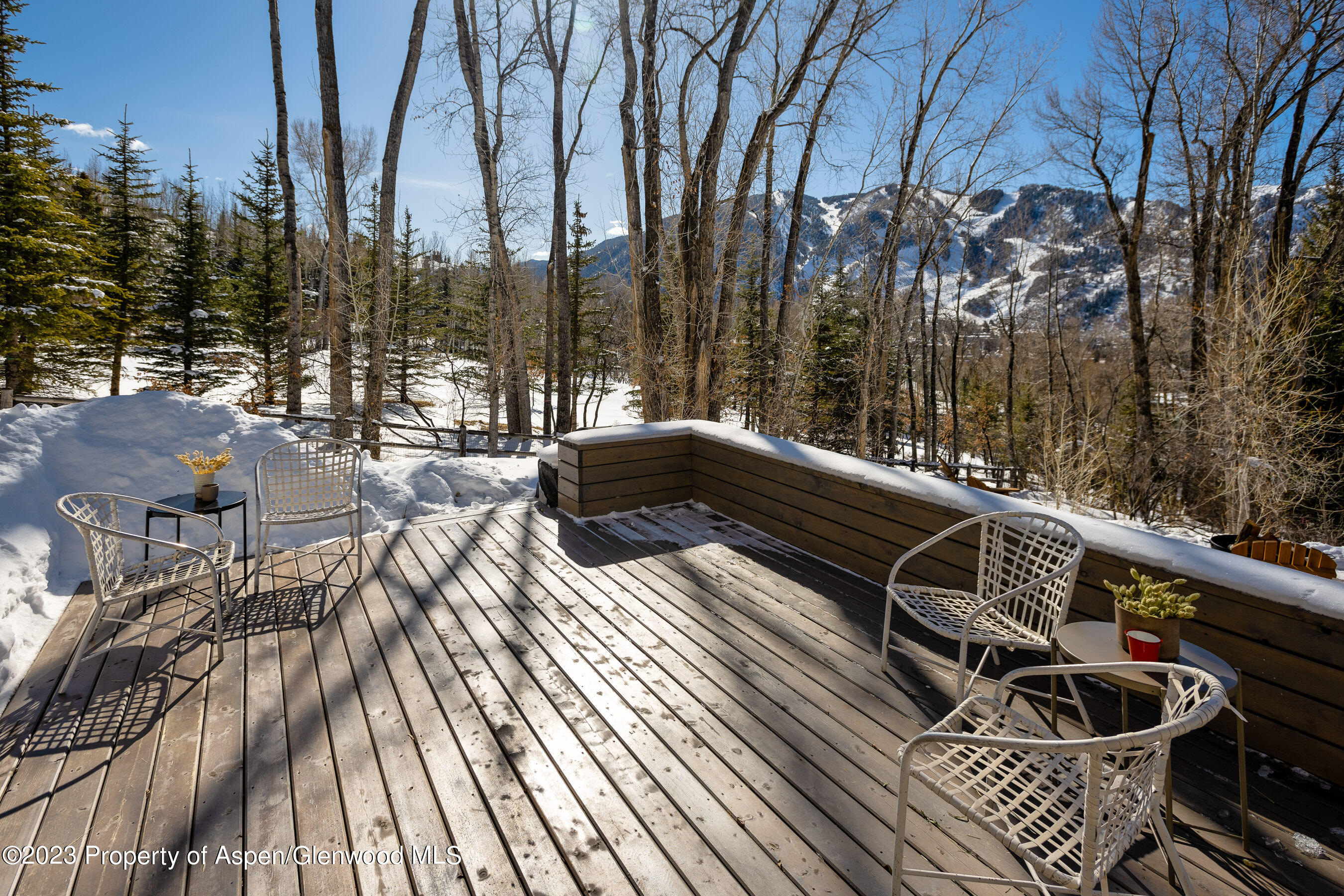 1036 Red Mountain Road Aspen CO 81611