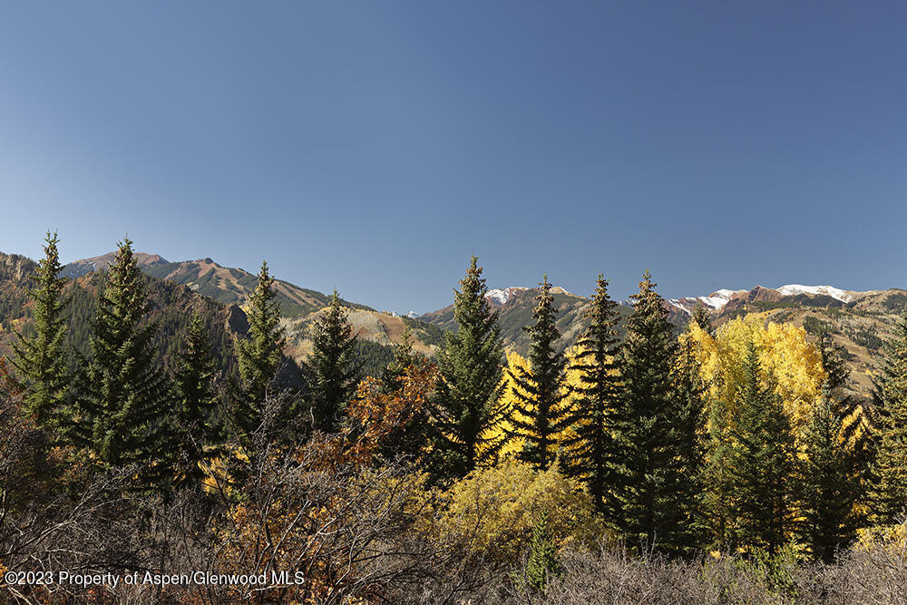 1036 Red Mountain Road Aspen CO 81611