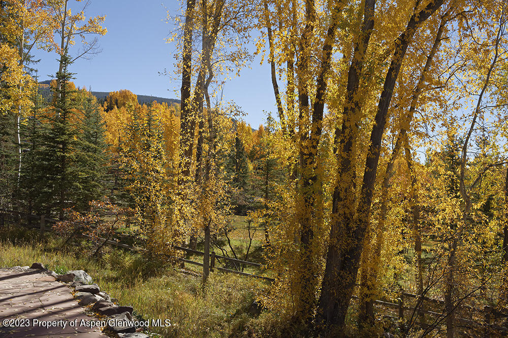 1036 Red Mountain Road Aspen CO 81611