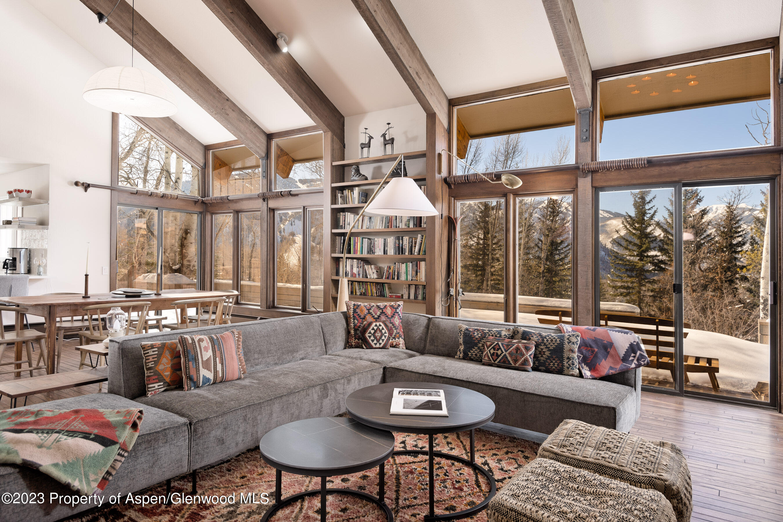 1036 Red Mountain Road Aspen CO 81611