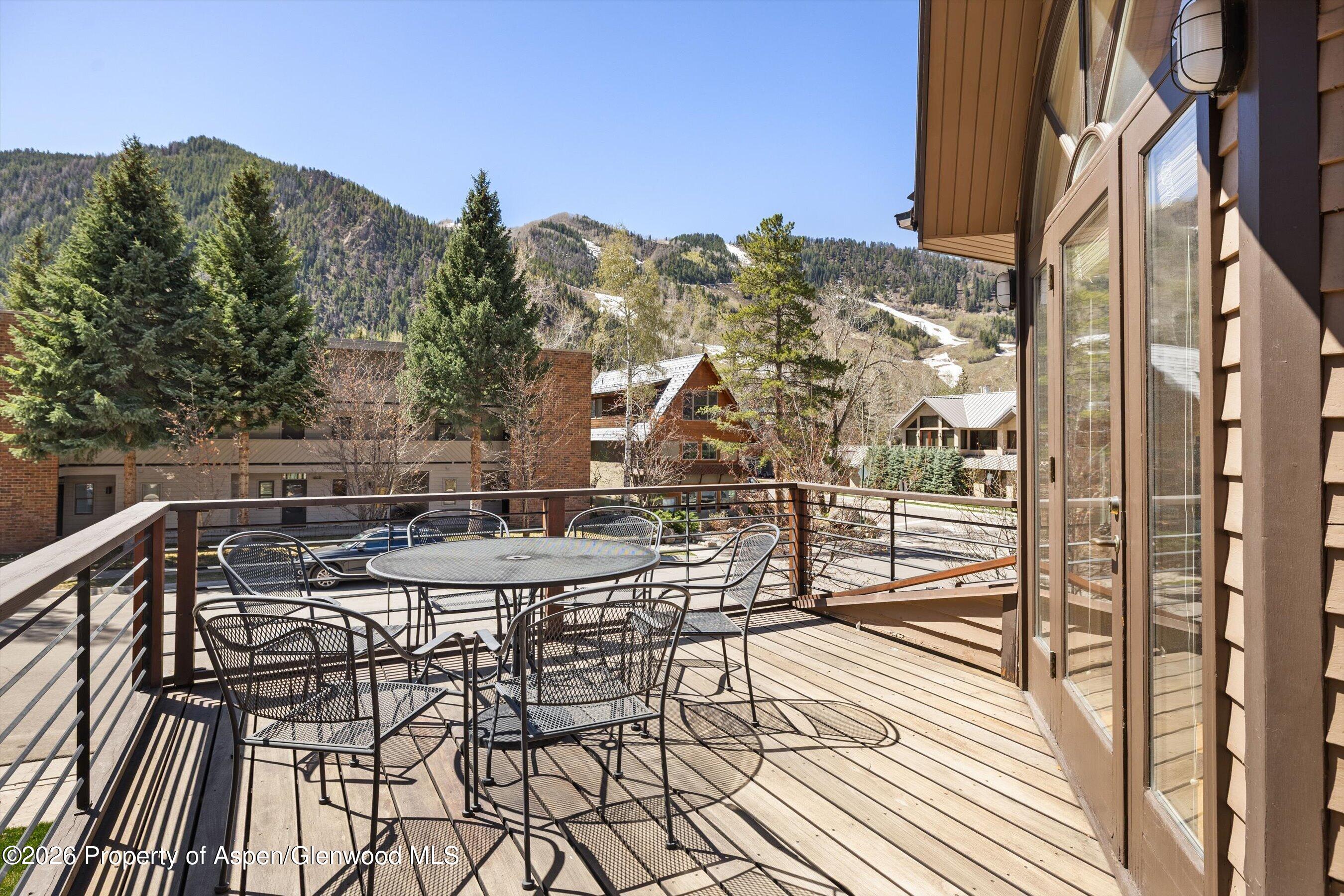 1006 E Hyman Avenue Aspen CO 81611