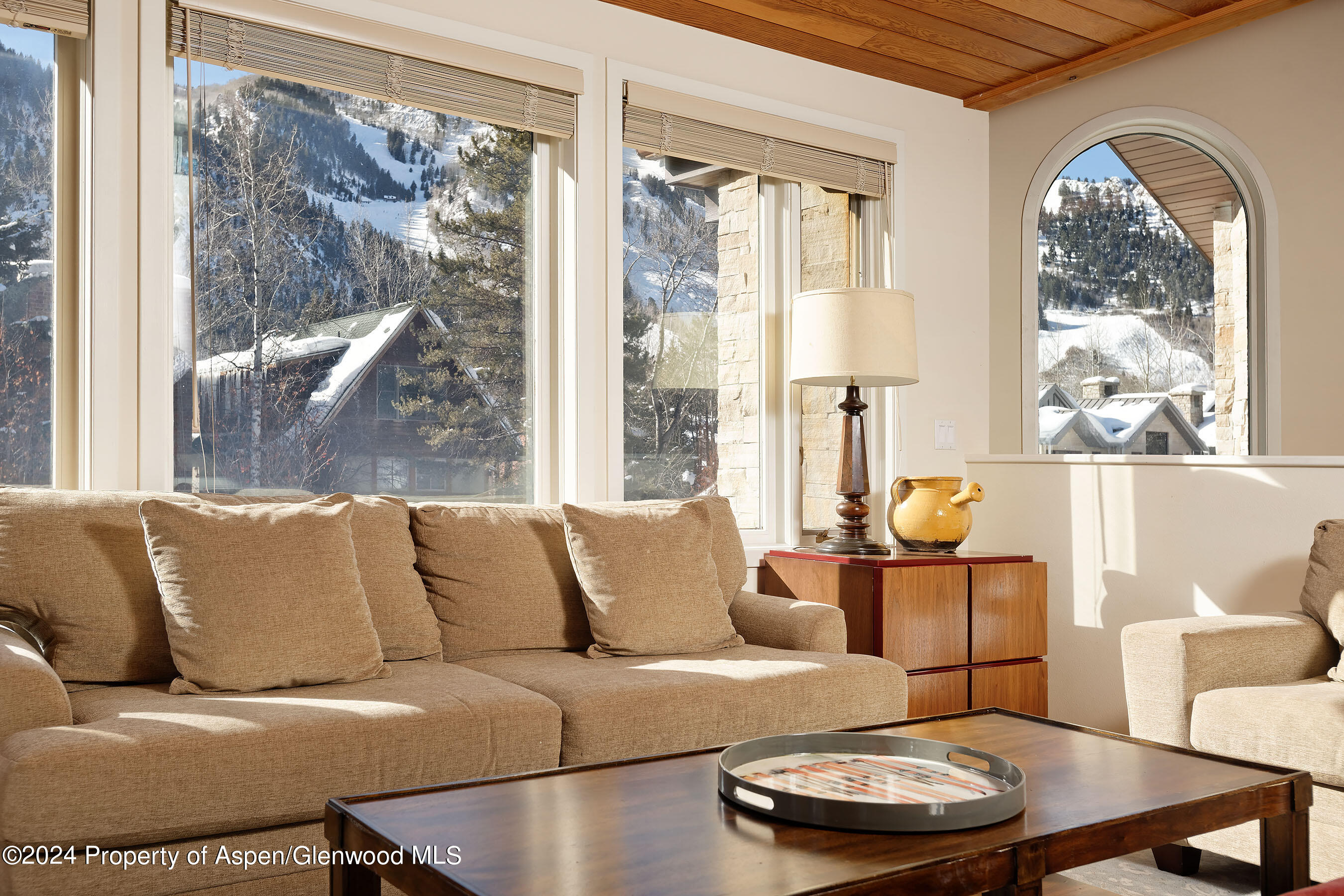 1006 E Hyman Avenue Aspen CO 81611