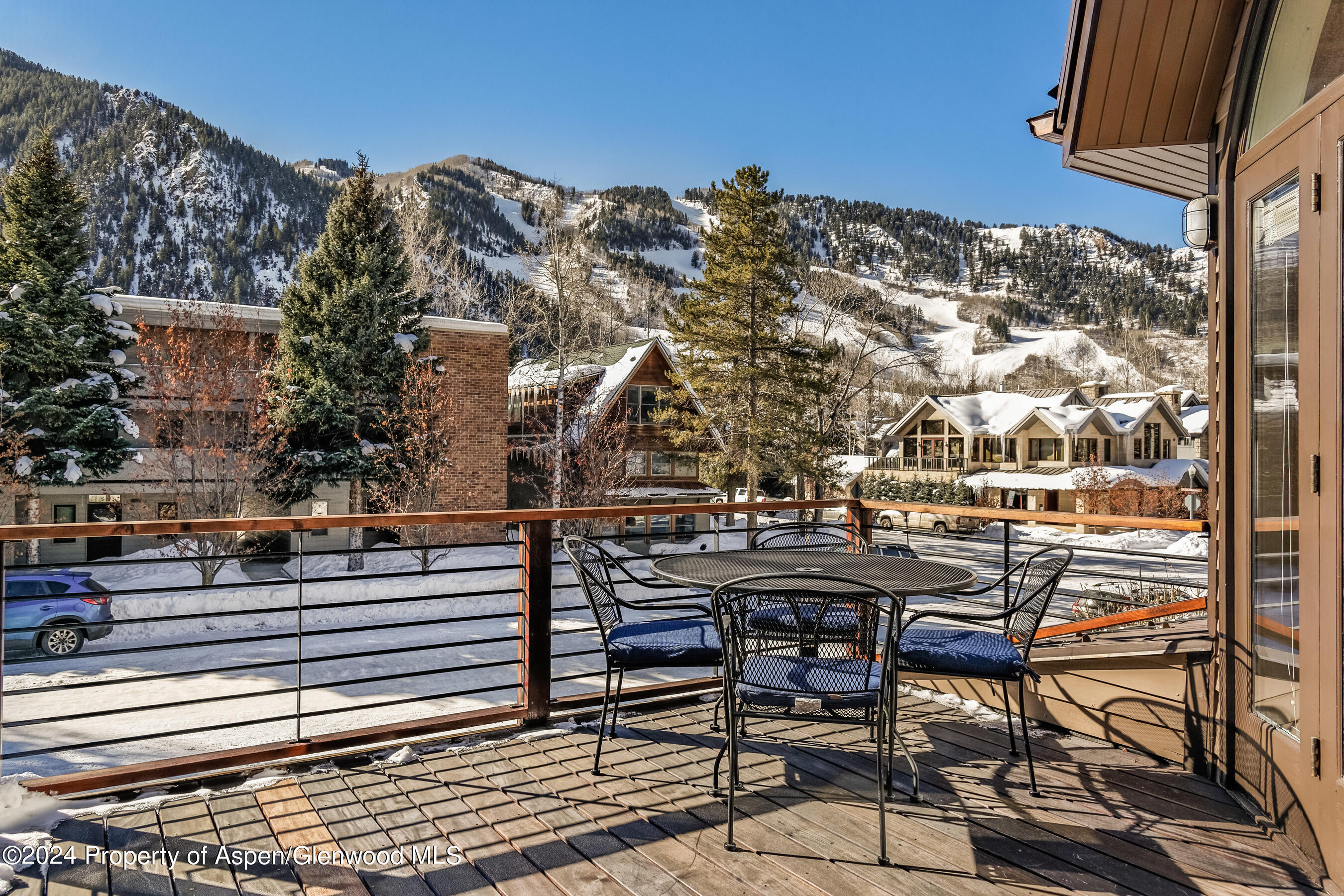 1006 E Hyman Avenue Aspen CO 81611