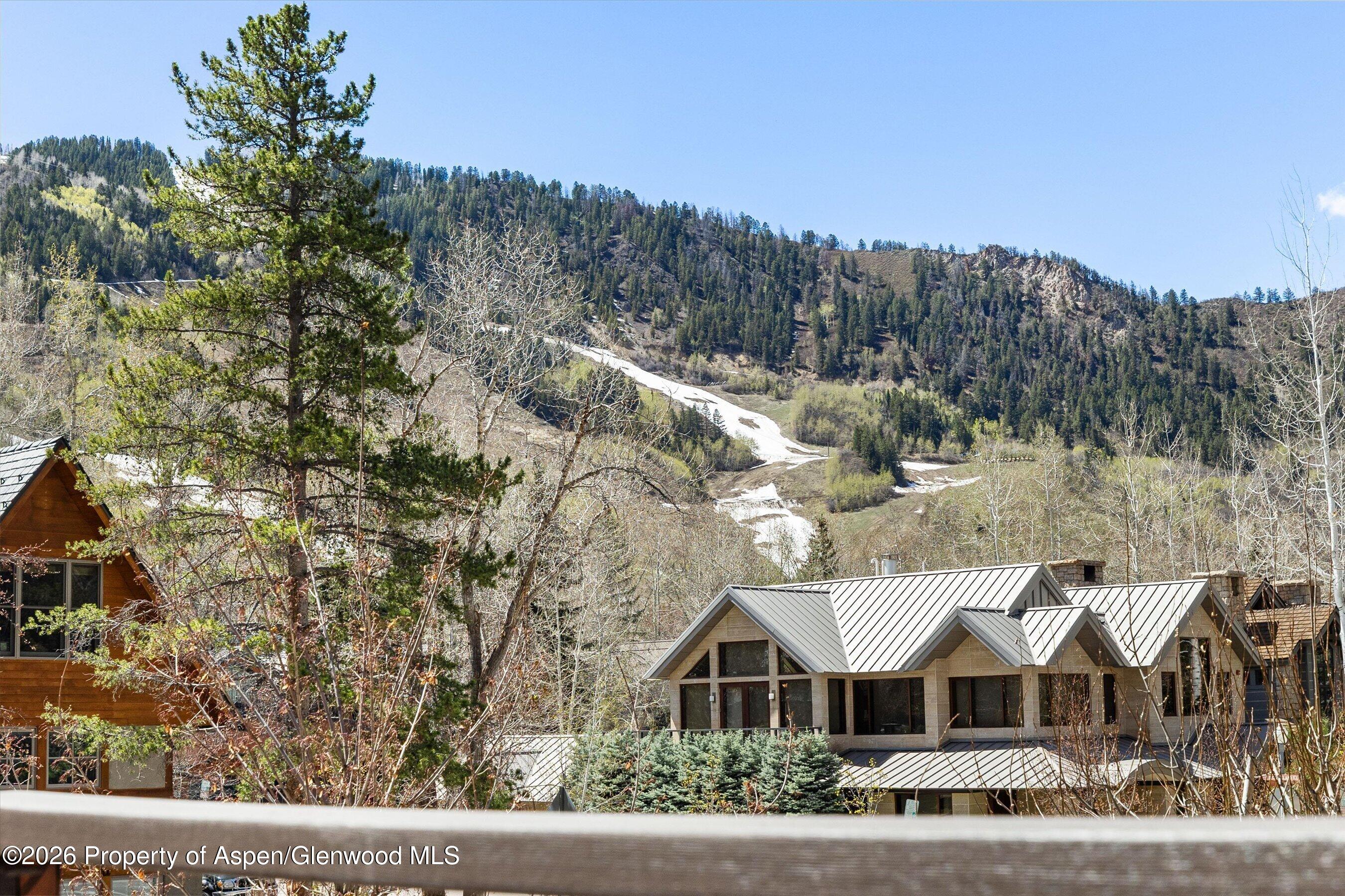 1006 E Hyman Avenue Aspen CO 81611