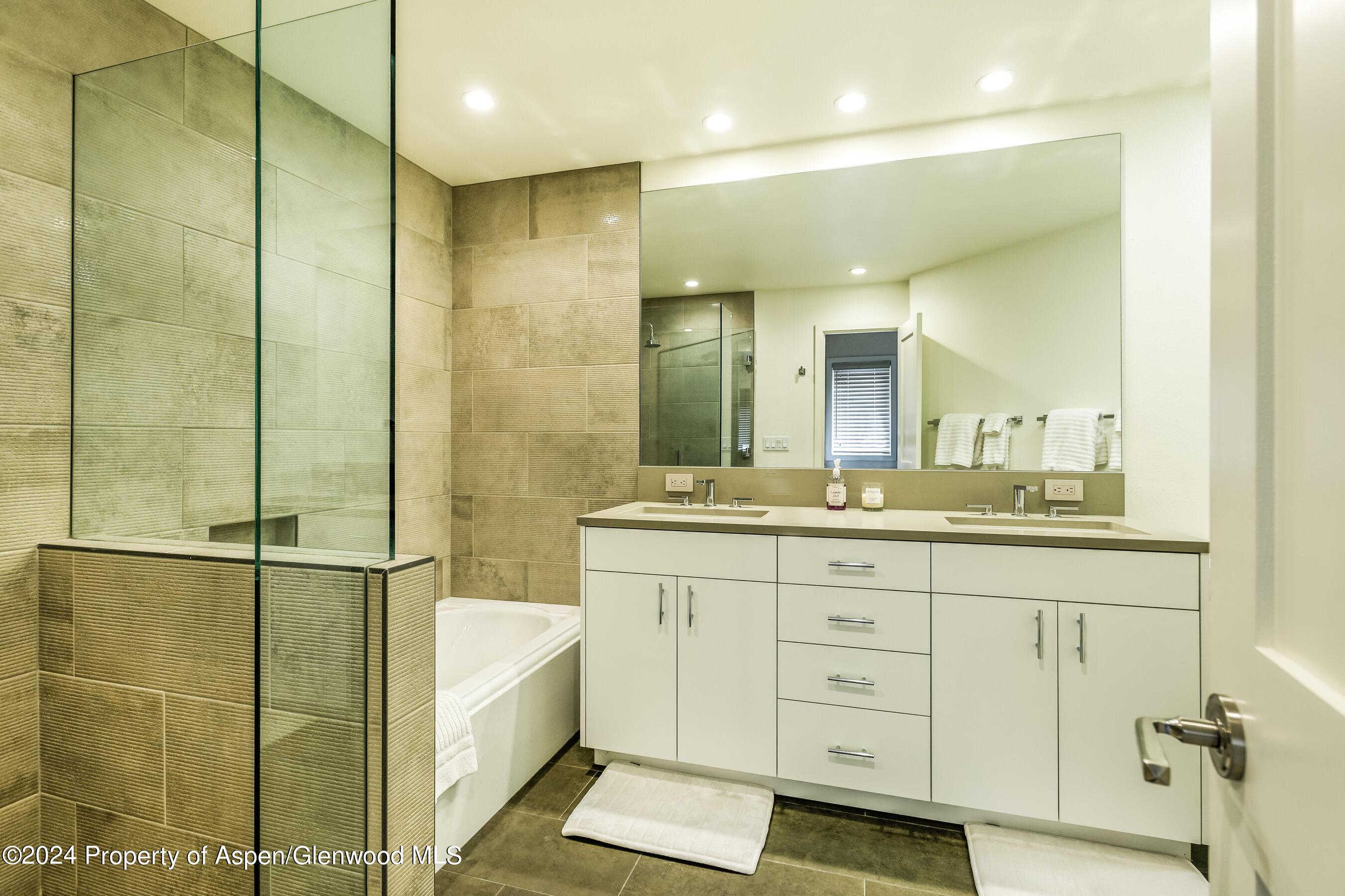 1006 E Hyman Avenue Aspen CO 81611