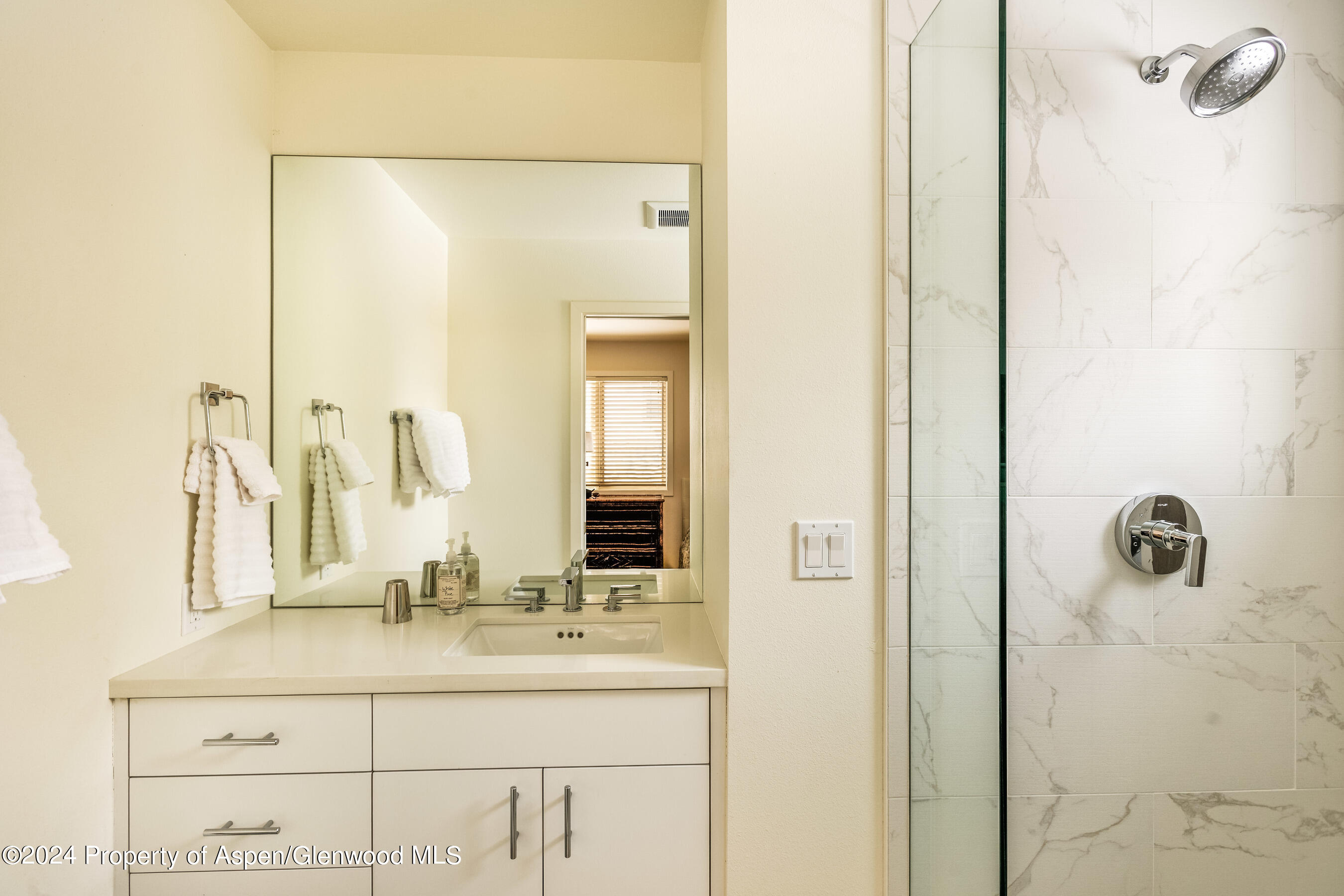 1006 E Hyman Avenue Aspen CO 81611