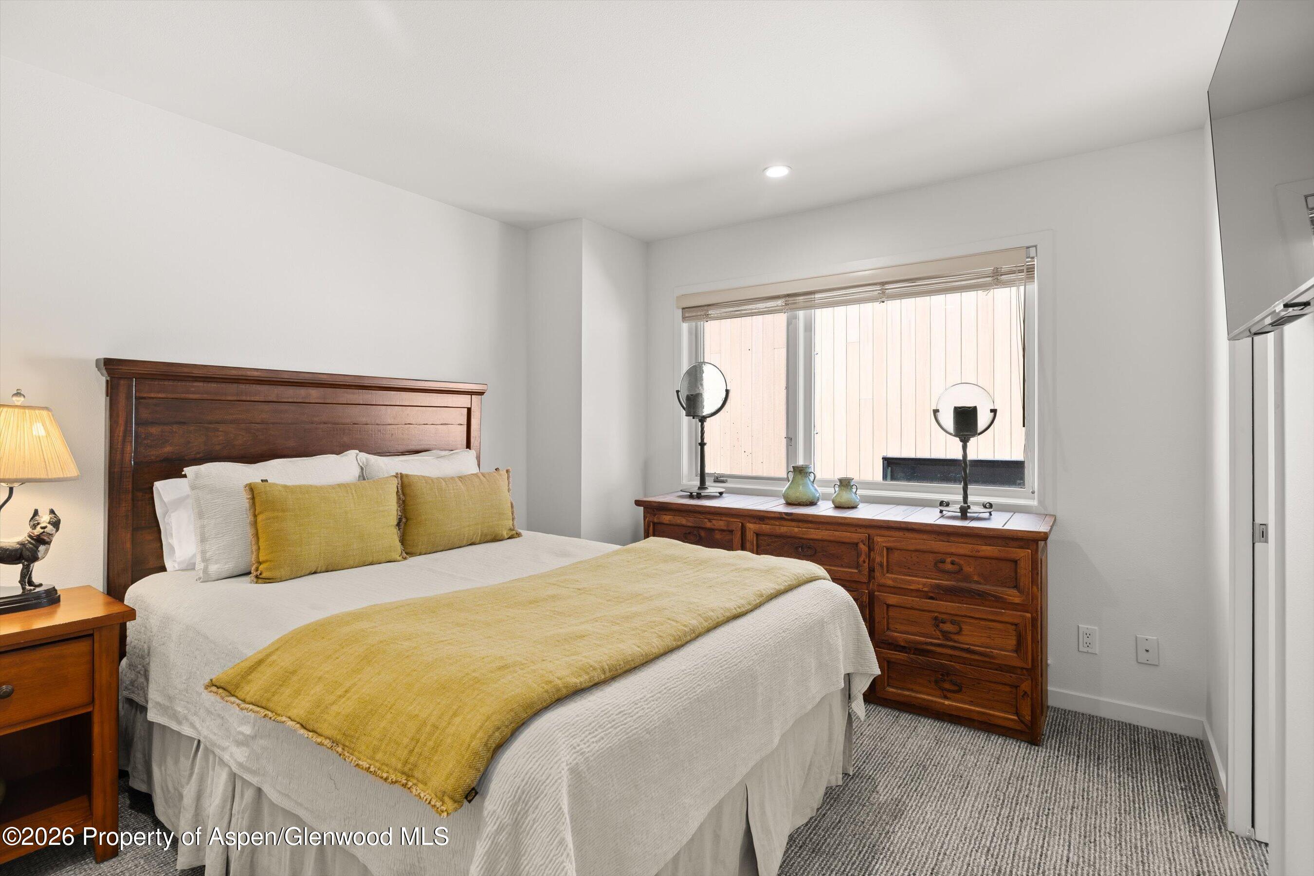 1006 E Hyman Avenue Aspen CO 81611