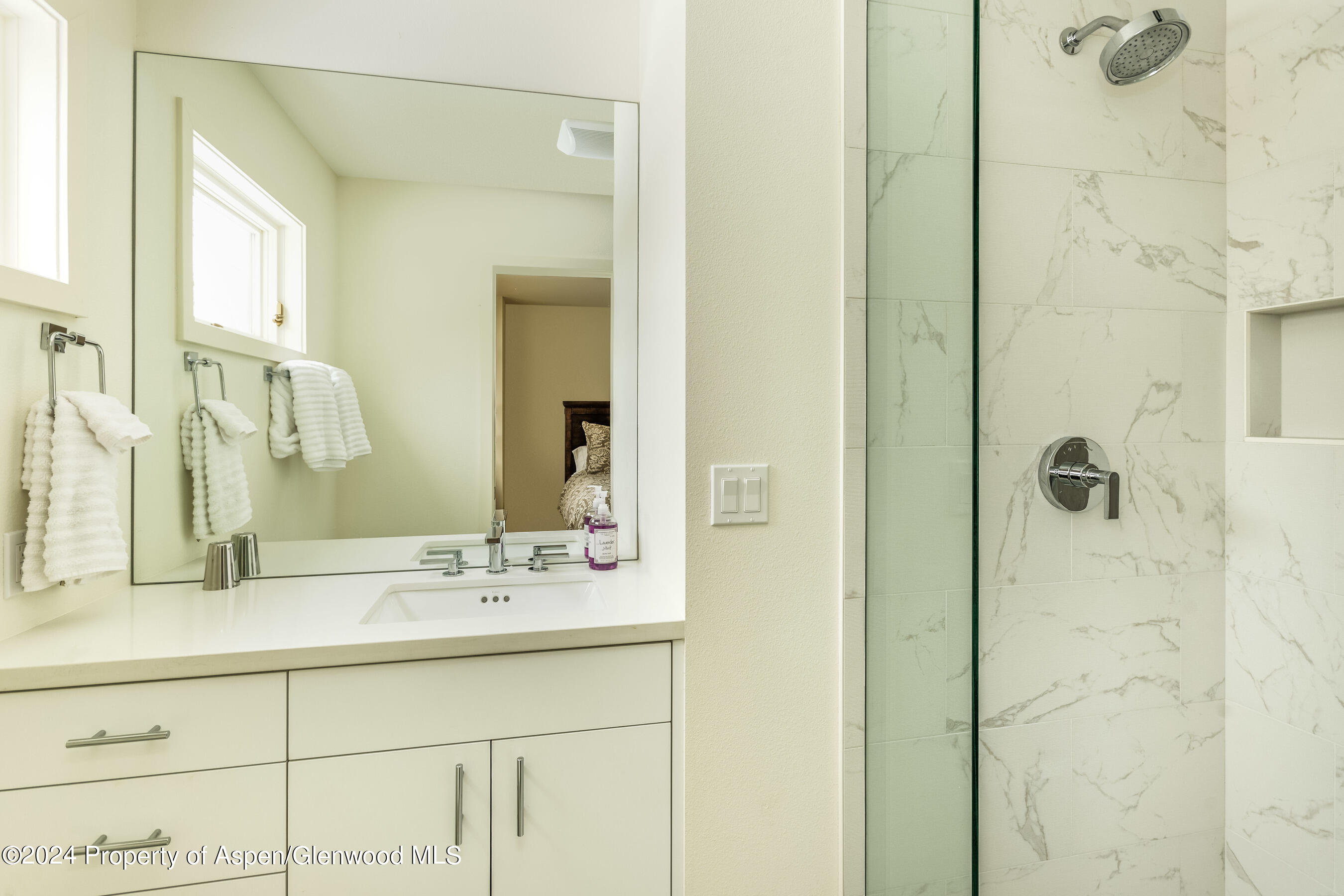 1006 E Hyman Avenue Aspen CO 81611