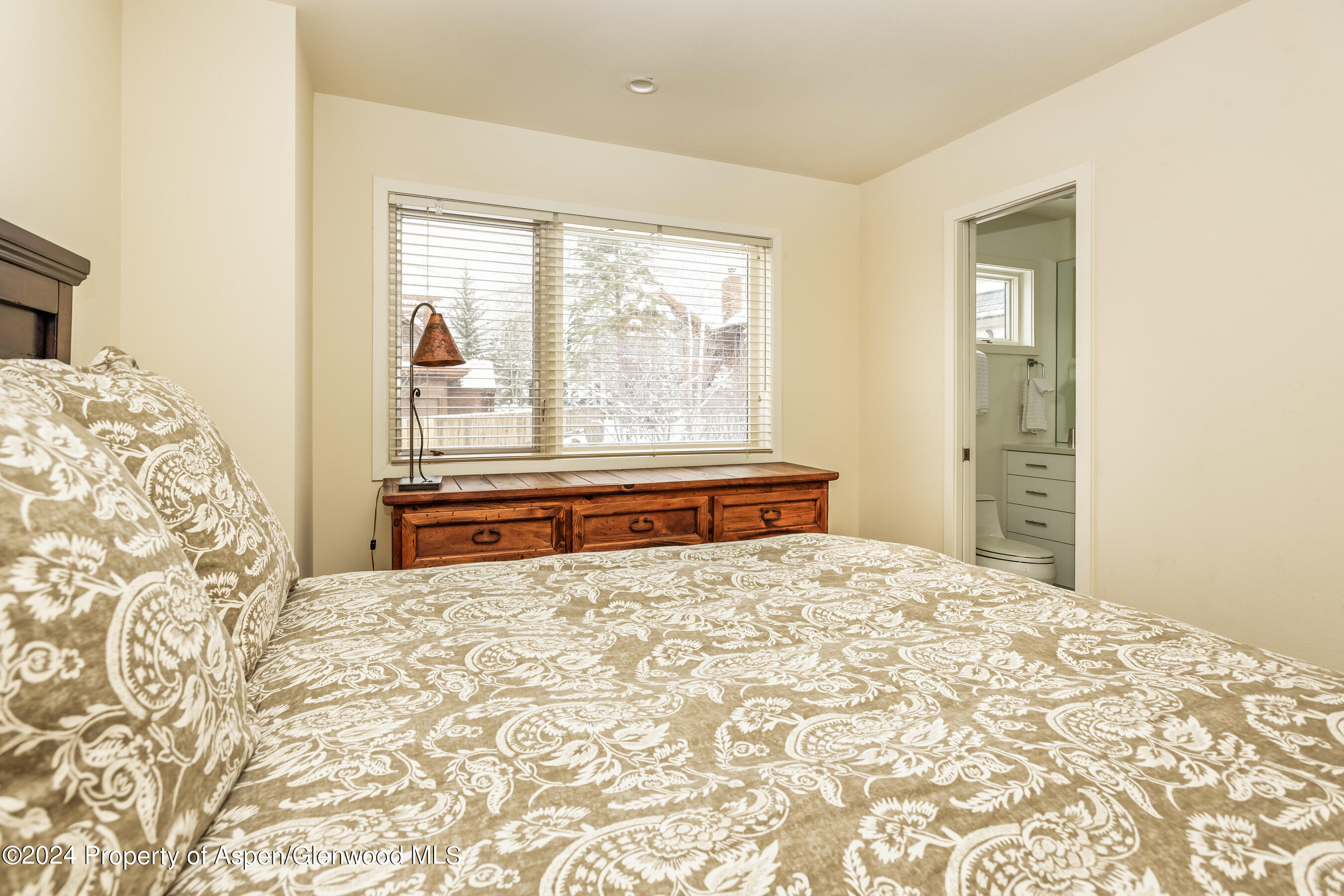 1006 E Hyman Avenue Aspen CO 81611