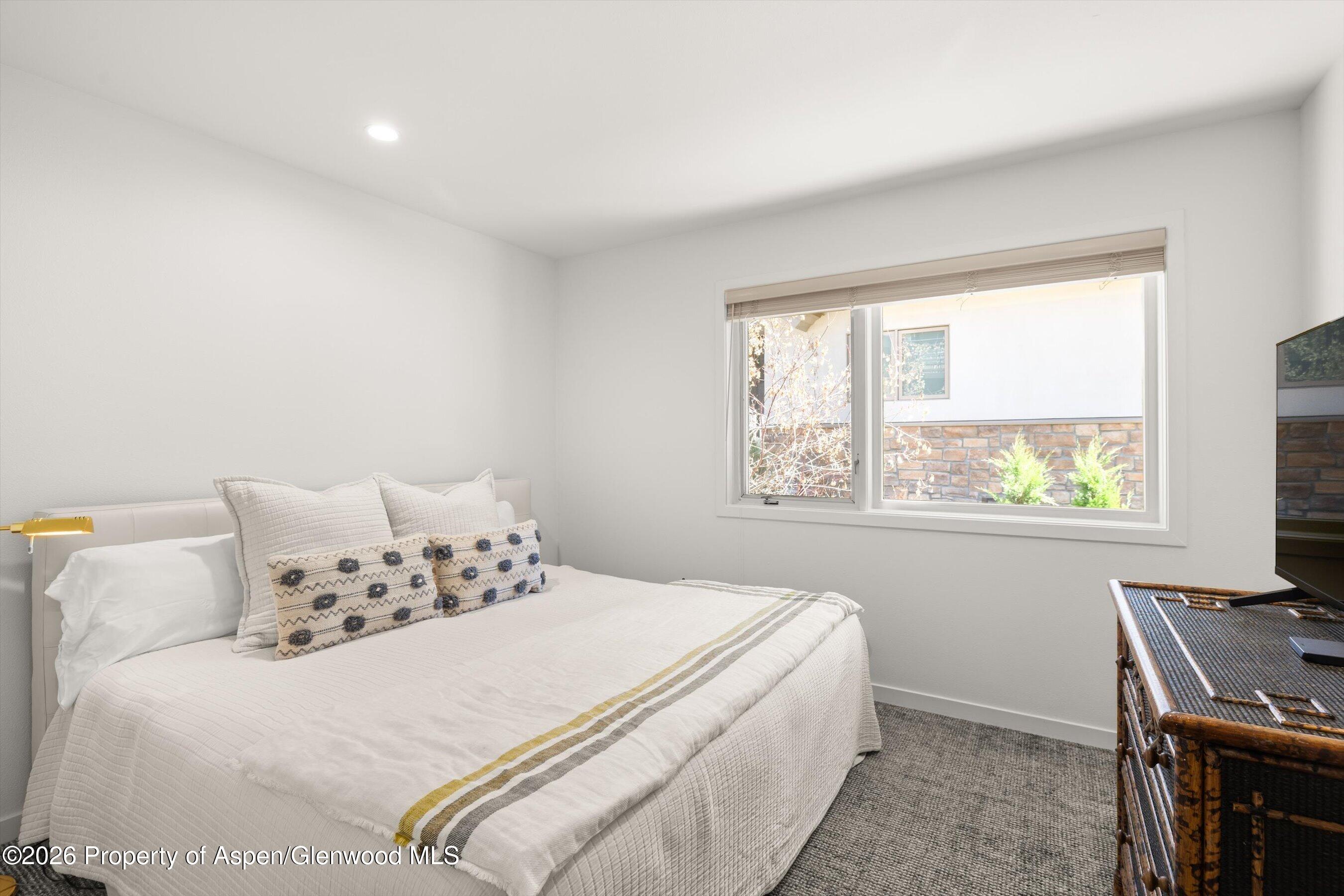1006 E Hyman Avenue Aspen CO 81611