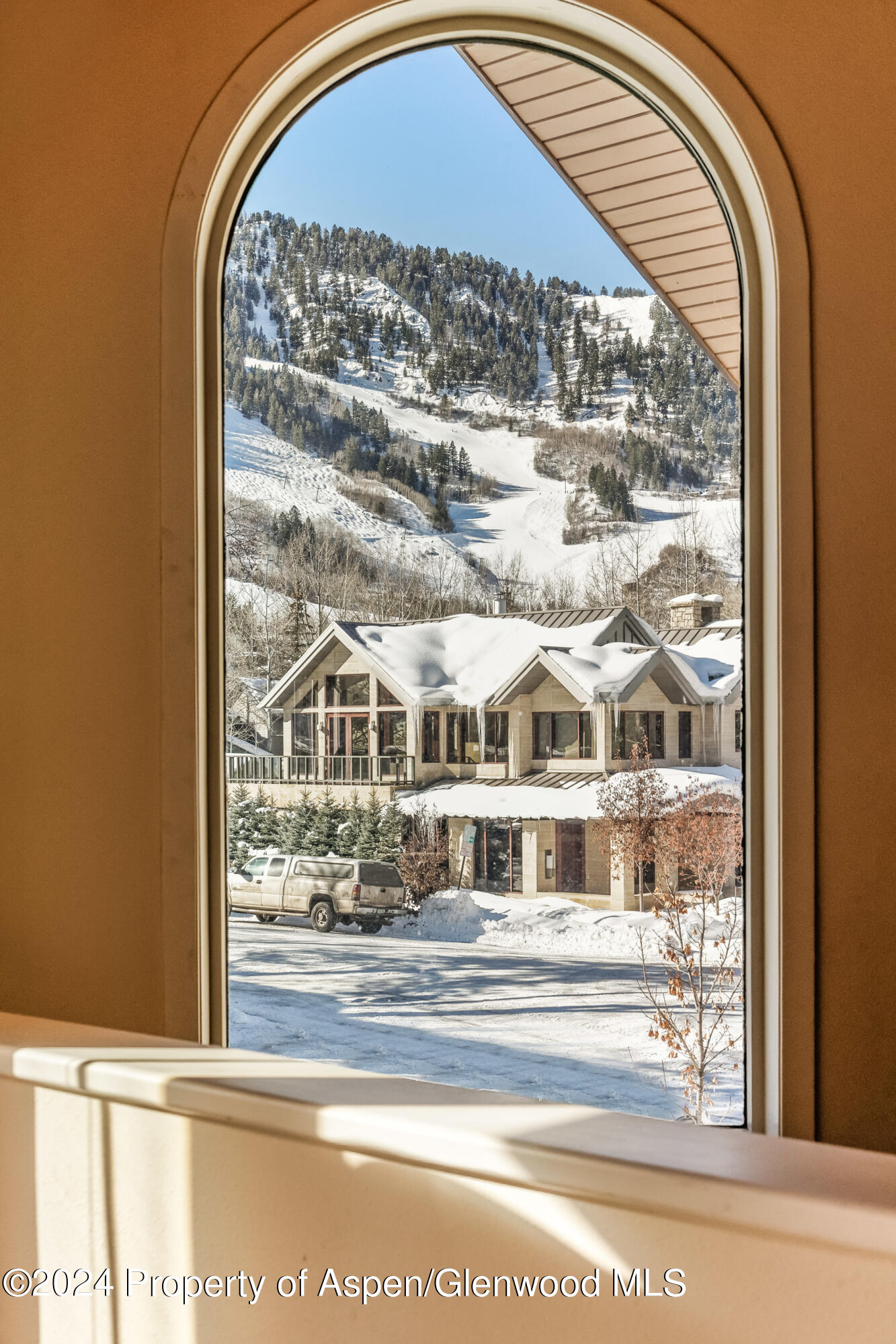 1006 E Hyman Avenue Aspen CO 81611