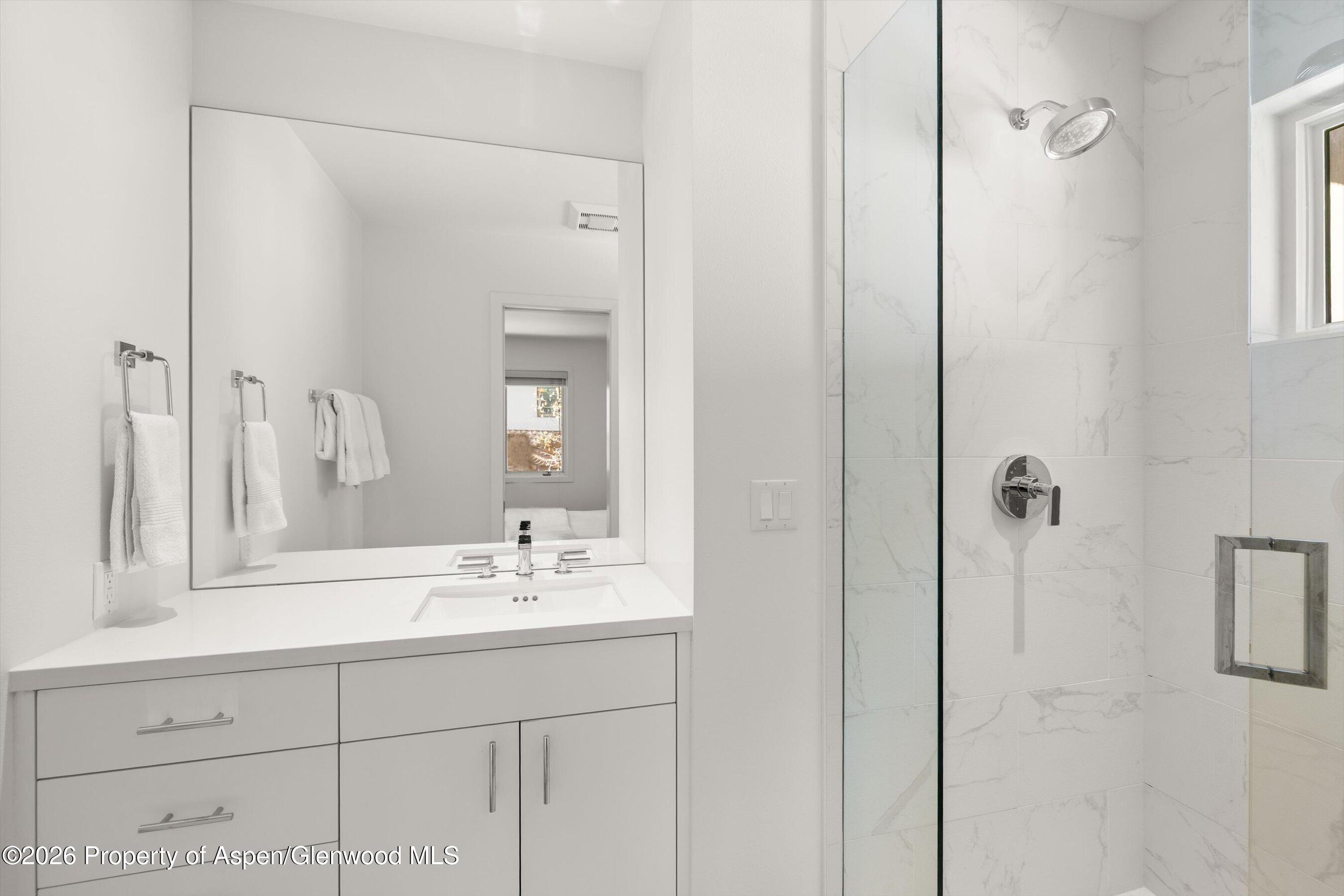 1006 E Hyman Avenue Aspen CO 81611