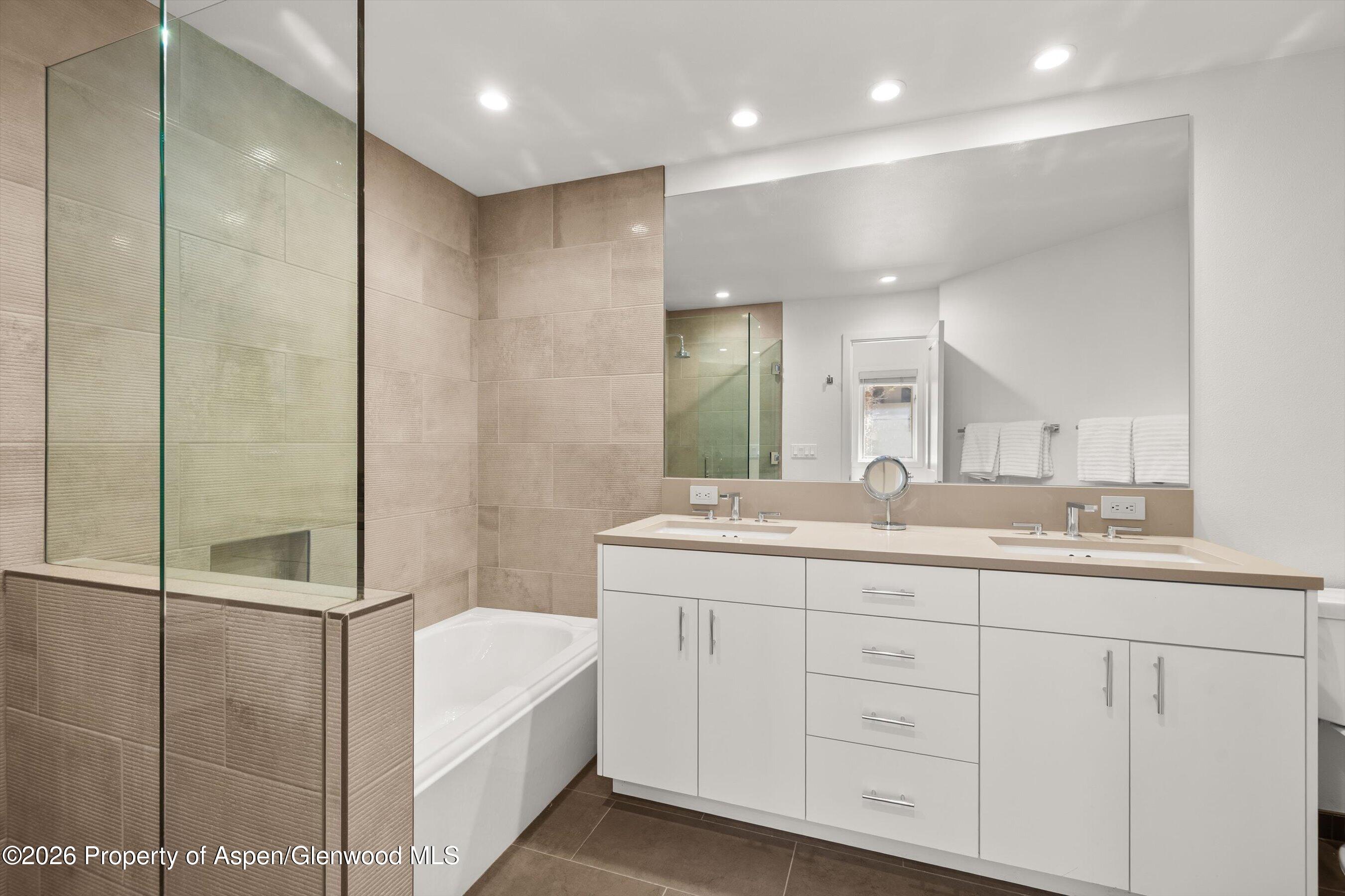 1006 E Hyman Avenue Aspen CO 81611