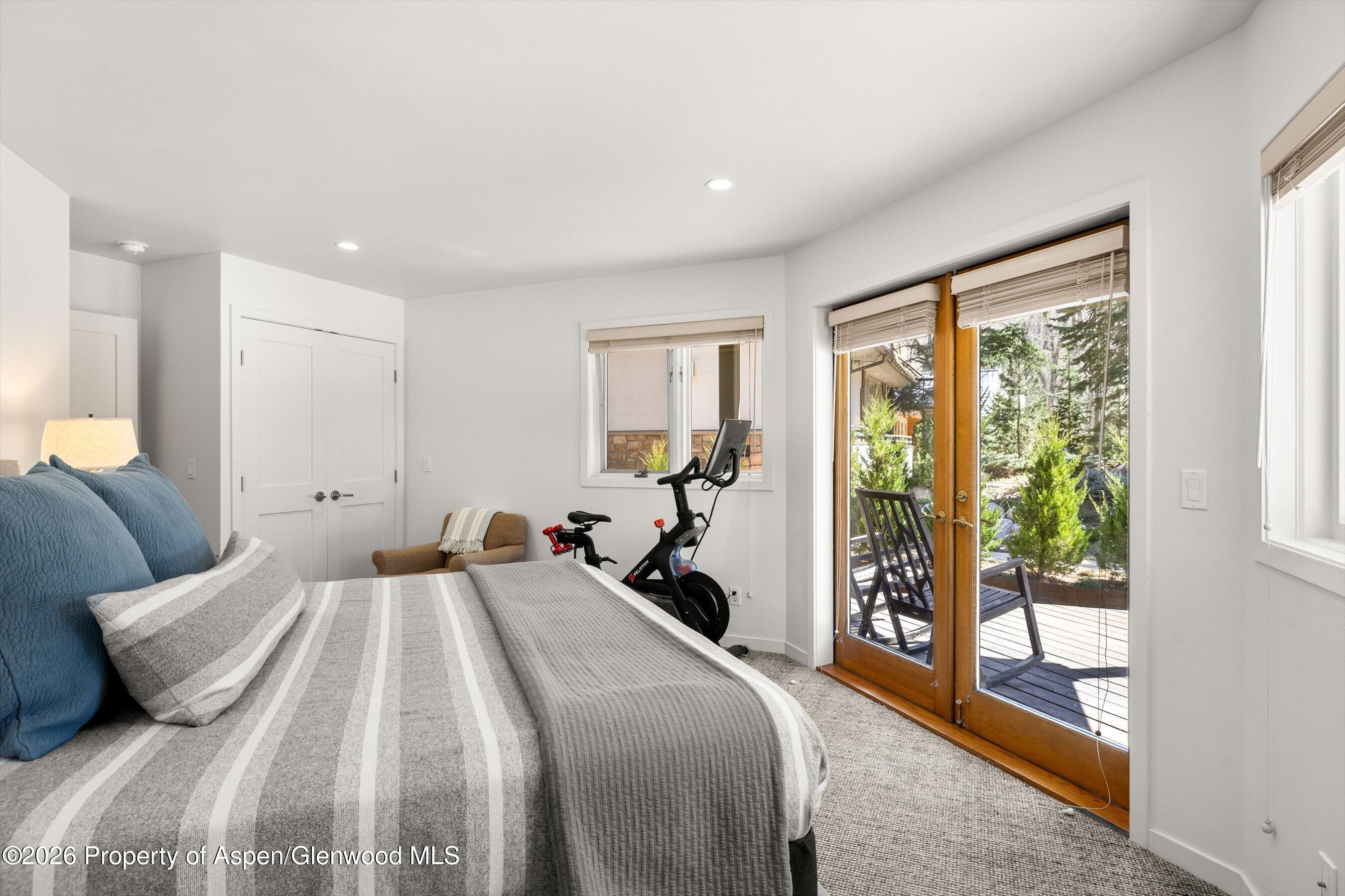 1006 E Hyman Avenue Aspen CO 81611