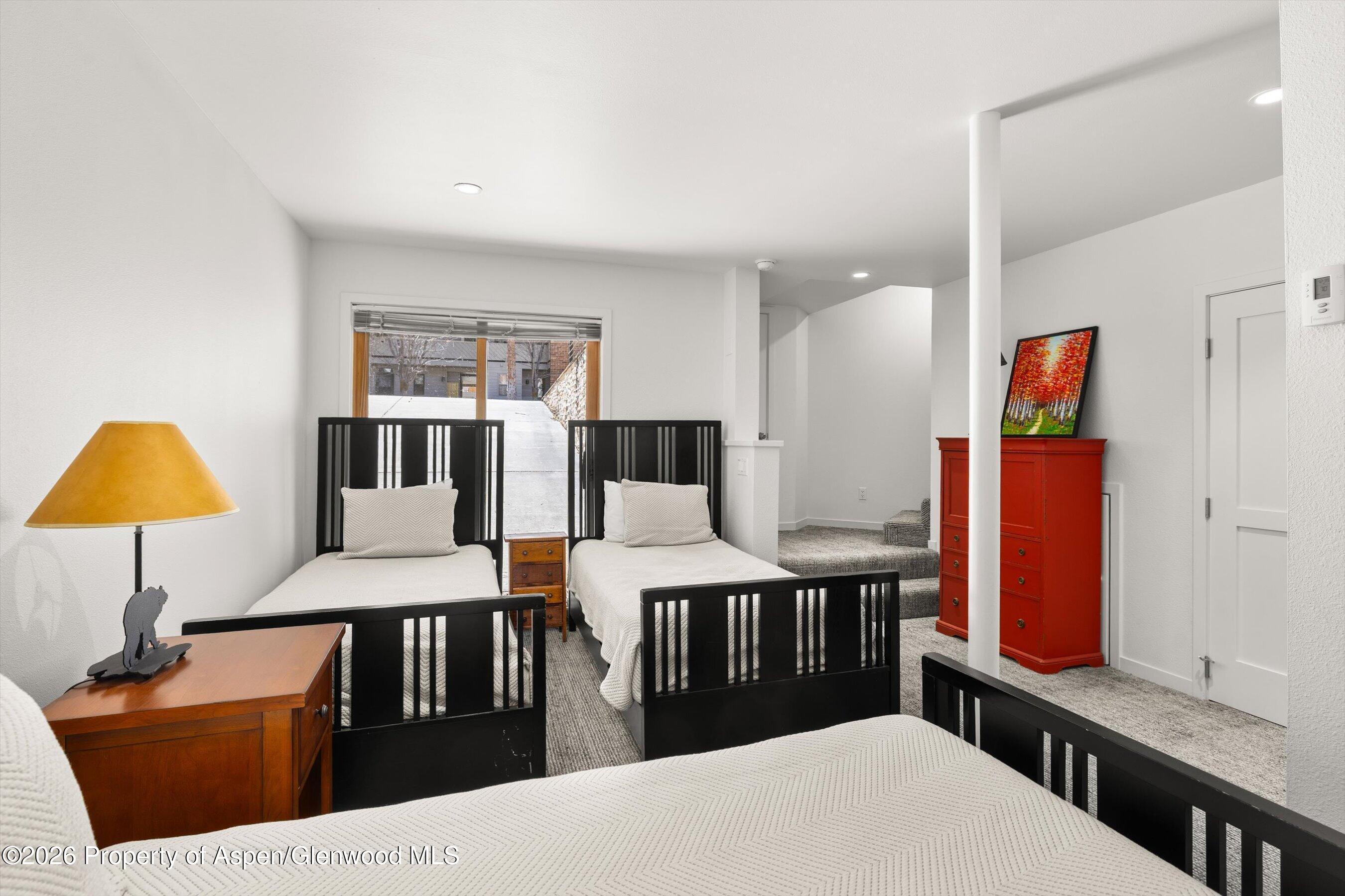 1006 E Hyman Avenue Aspen CO 81611