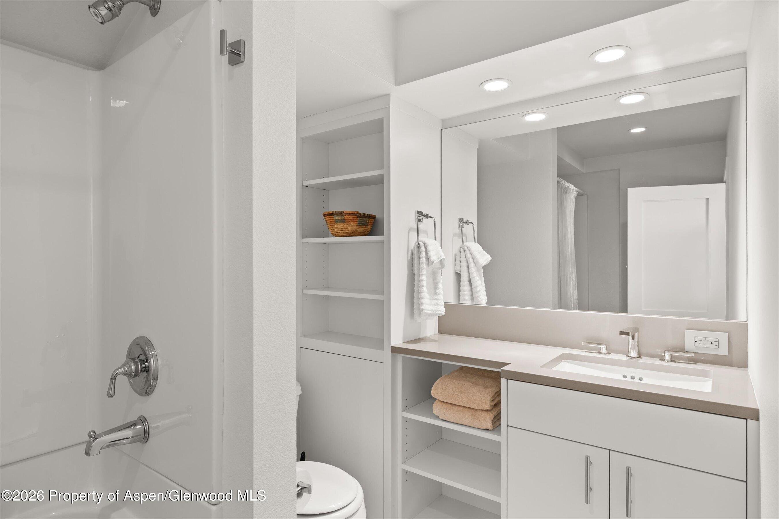 1006 E Hyman Avenue Aspen CO 81611