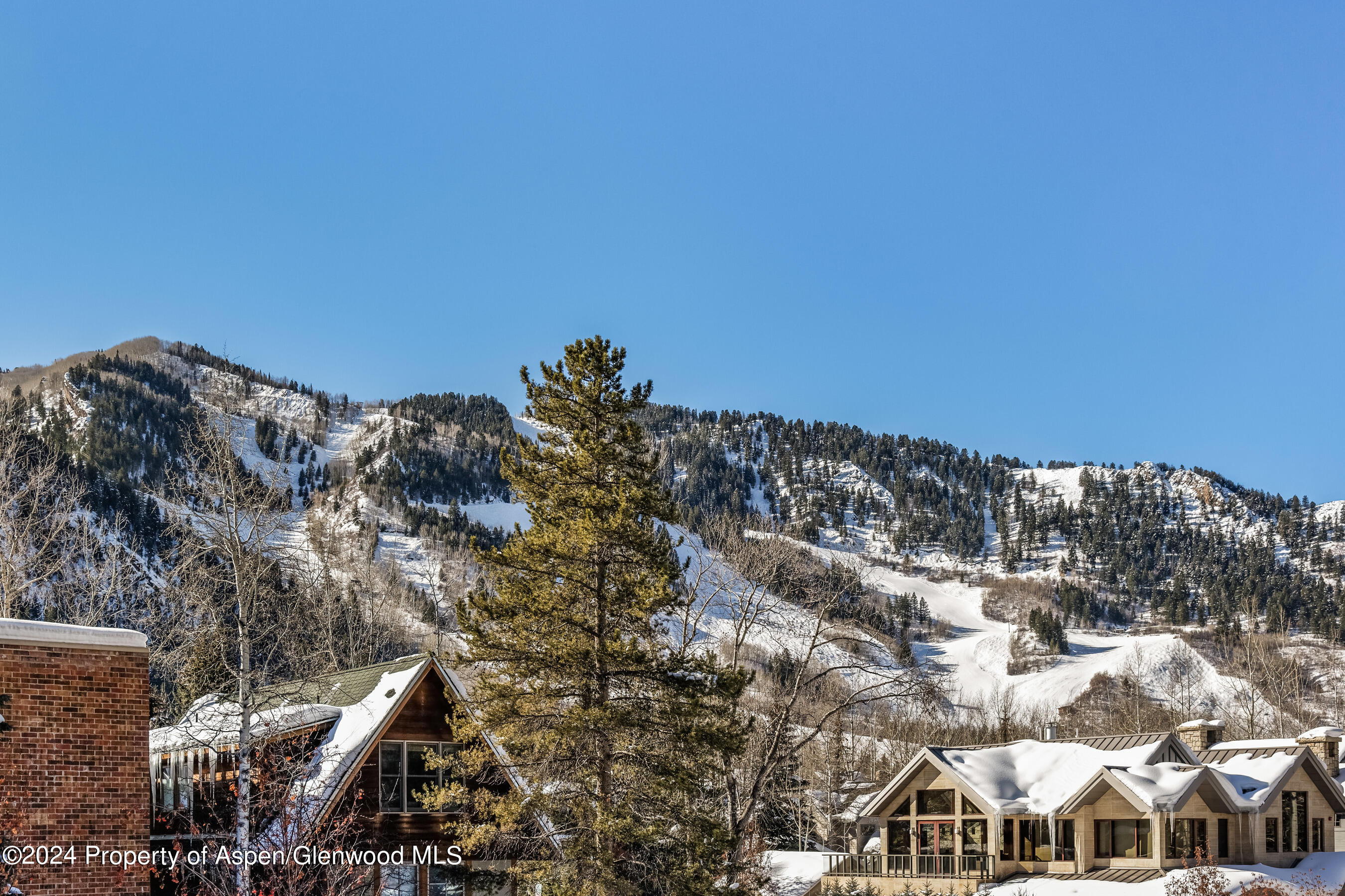 1006 E Hyman Avenue Aspen CO 81611