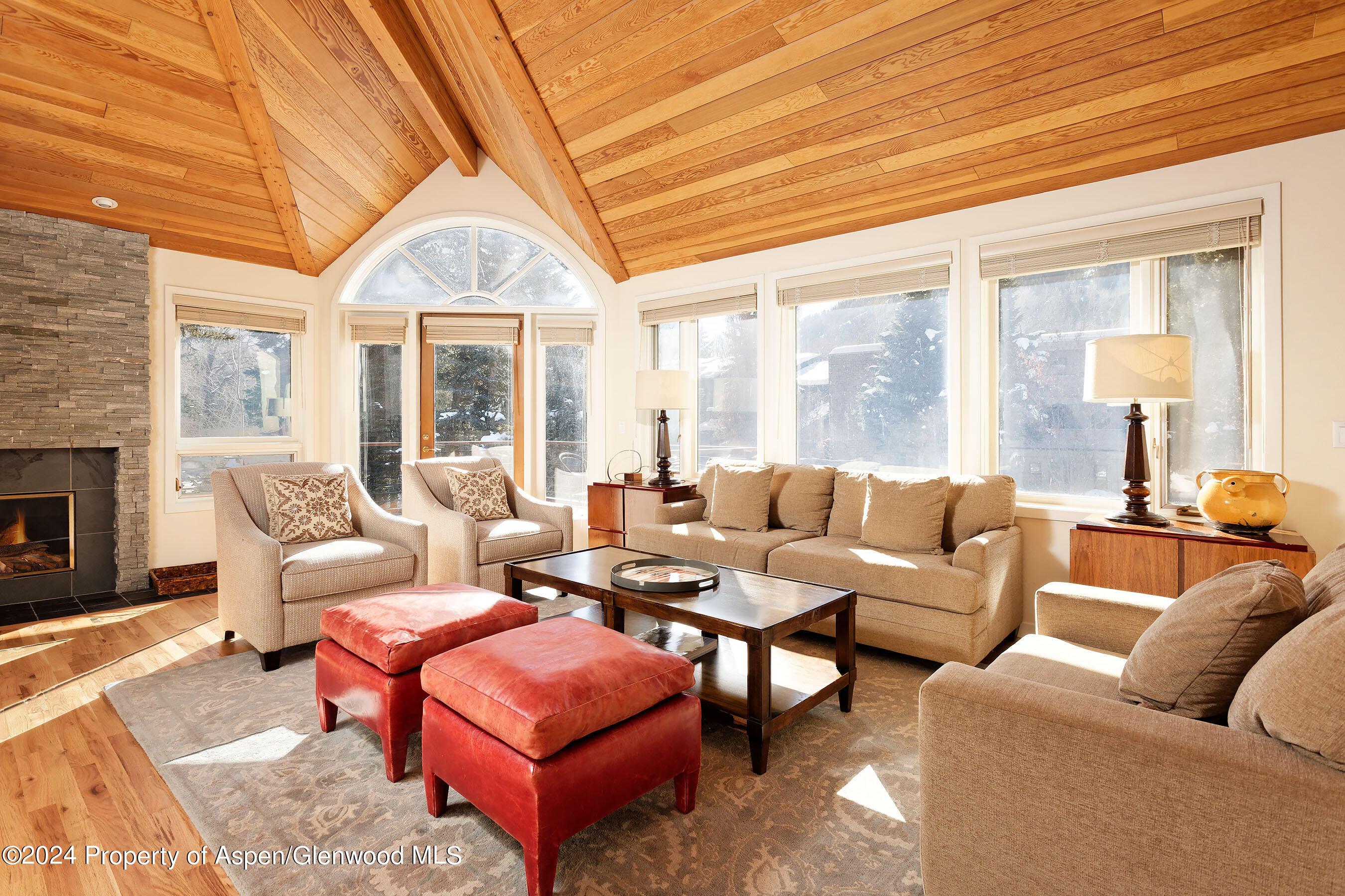 1006 E Hyman Avenue Aspen CO 81611