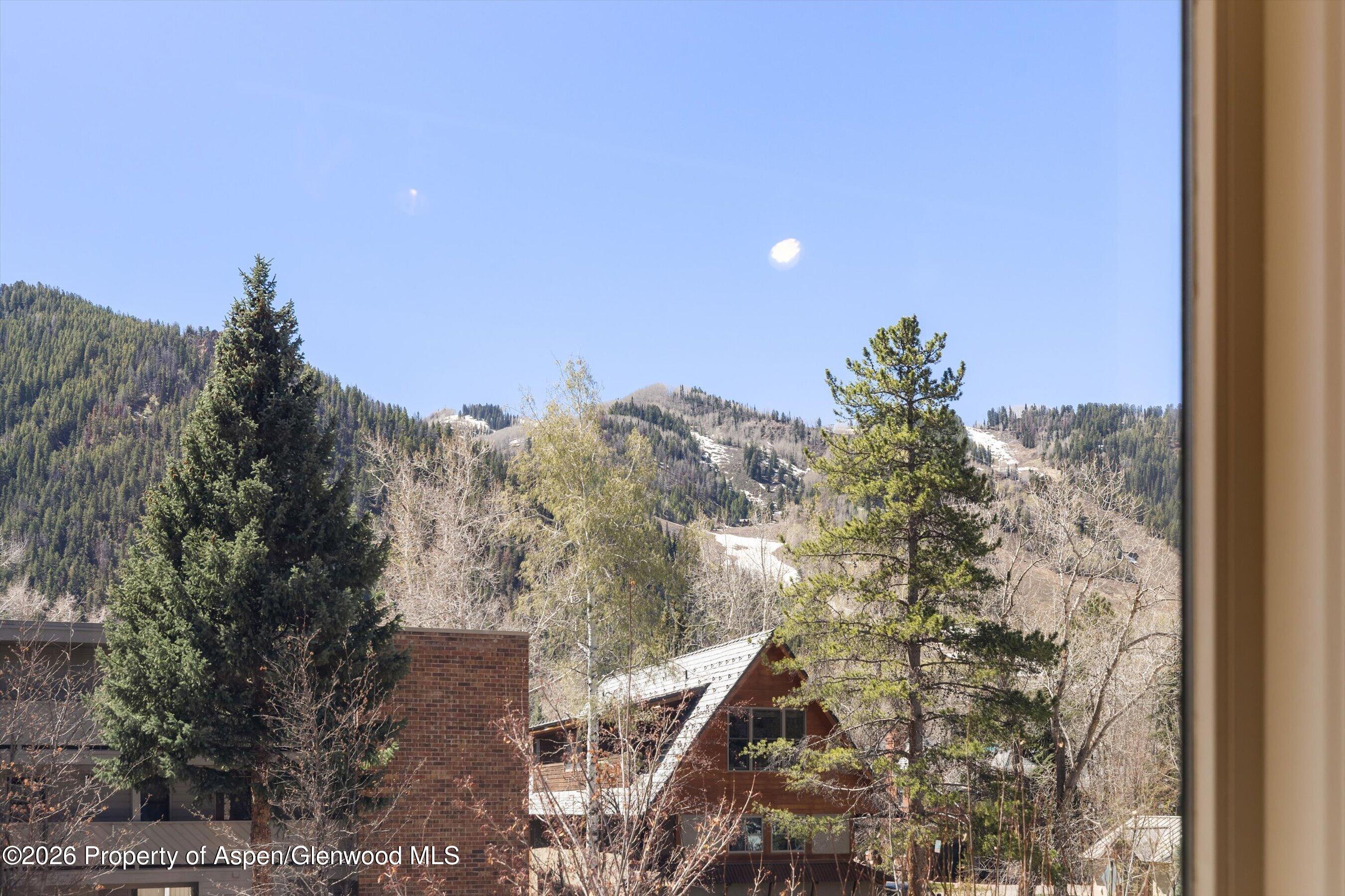 1006 E Hyman Avenue Aspen CO 81611