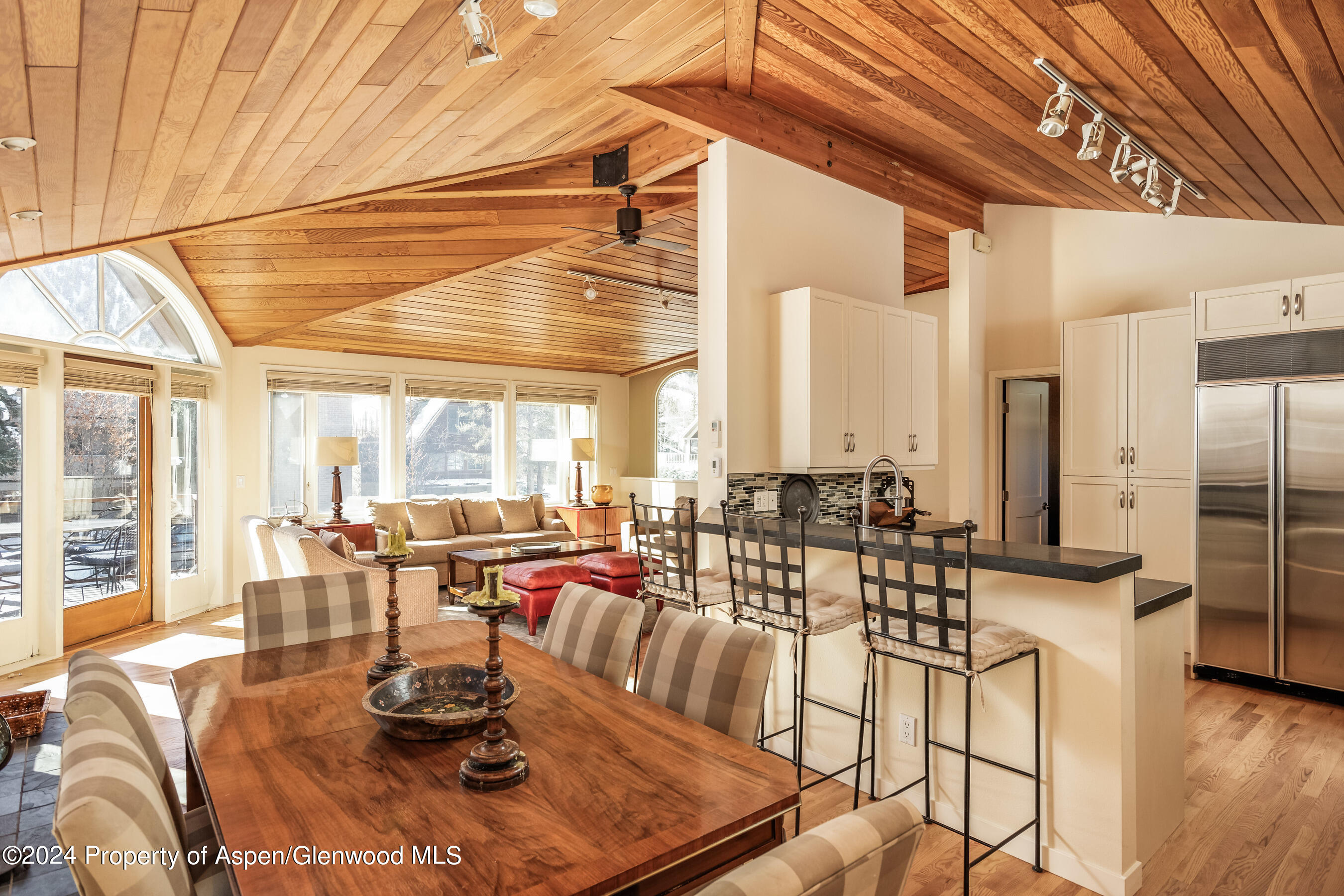 1006 E Hyman Avenue Aspen CO 81611