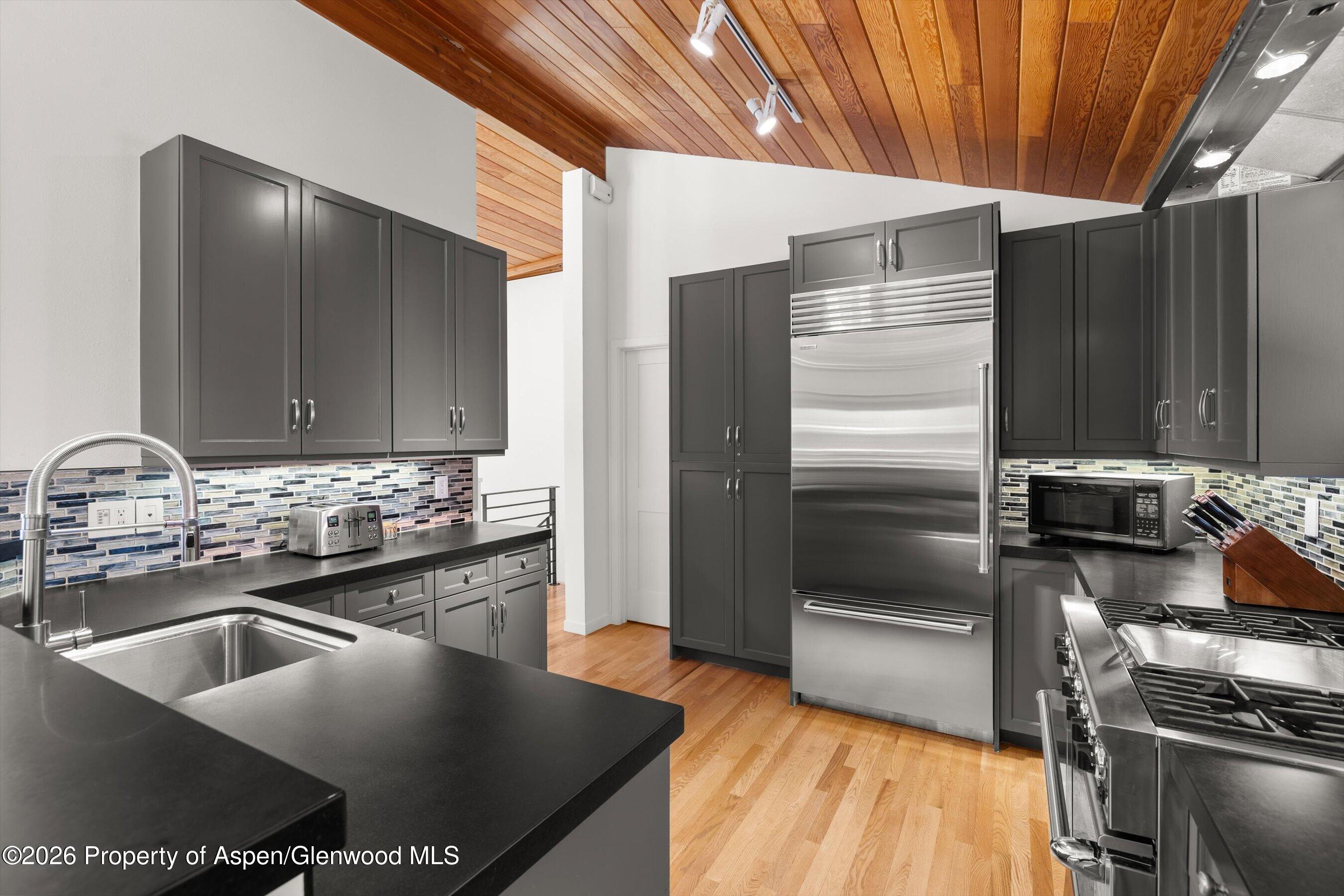 1006 E Hyman Avenue Aspen CO 81611