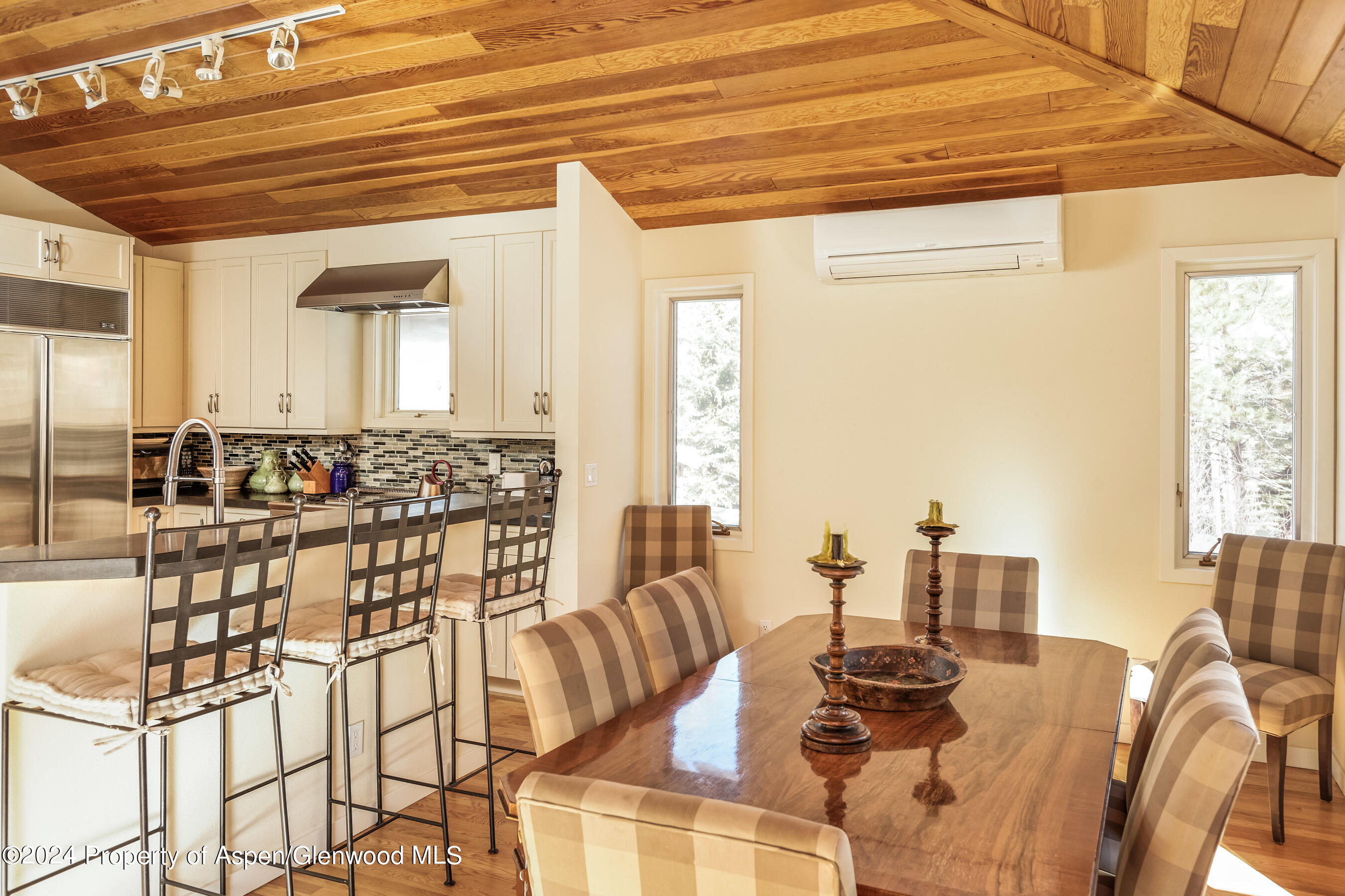 1006 E Hyman Avenue Aspen CO 81611