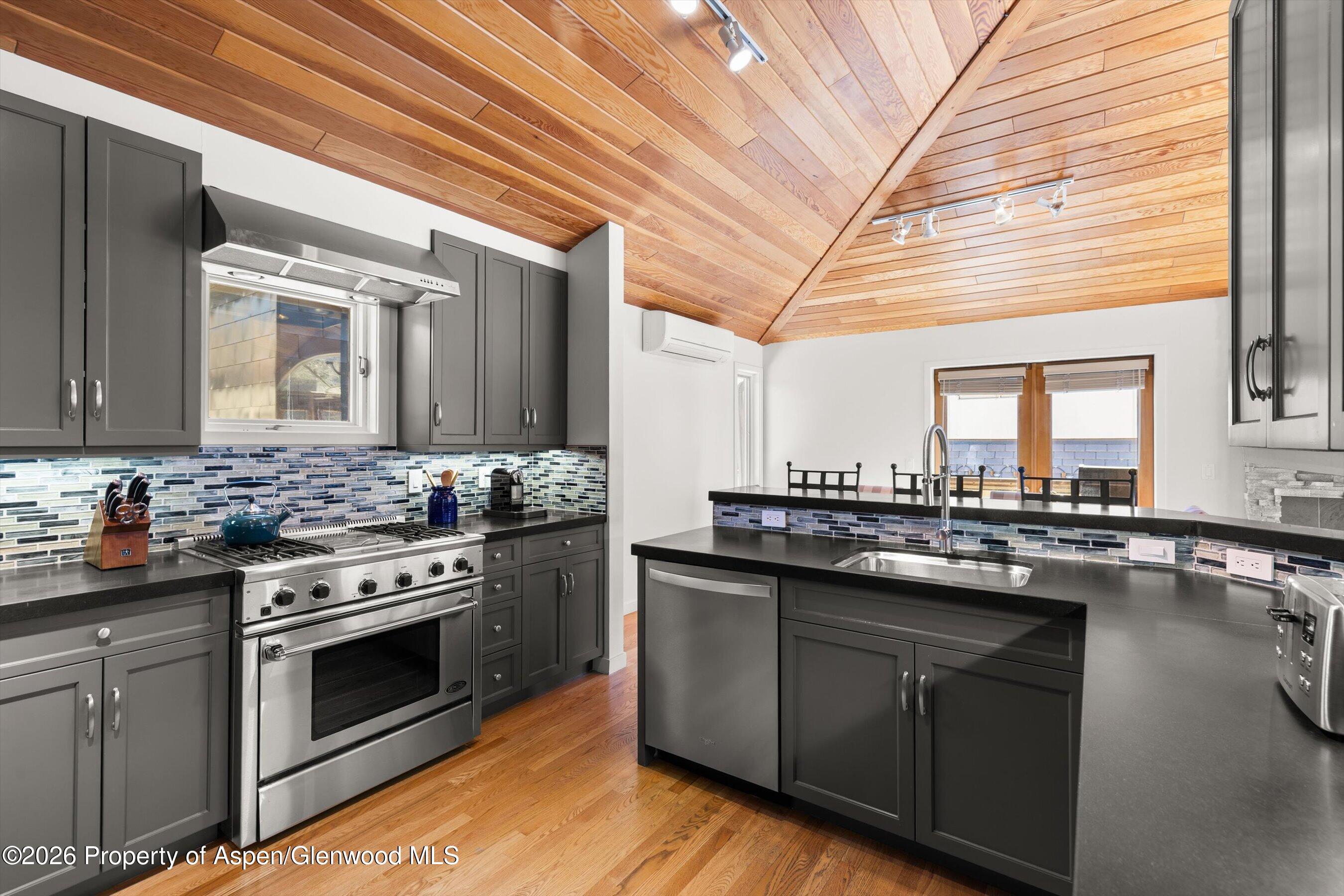 1006 E Hyman Avenue Aspen CO 81611