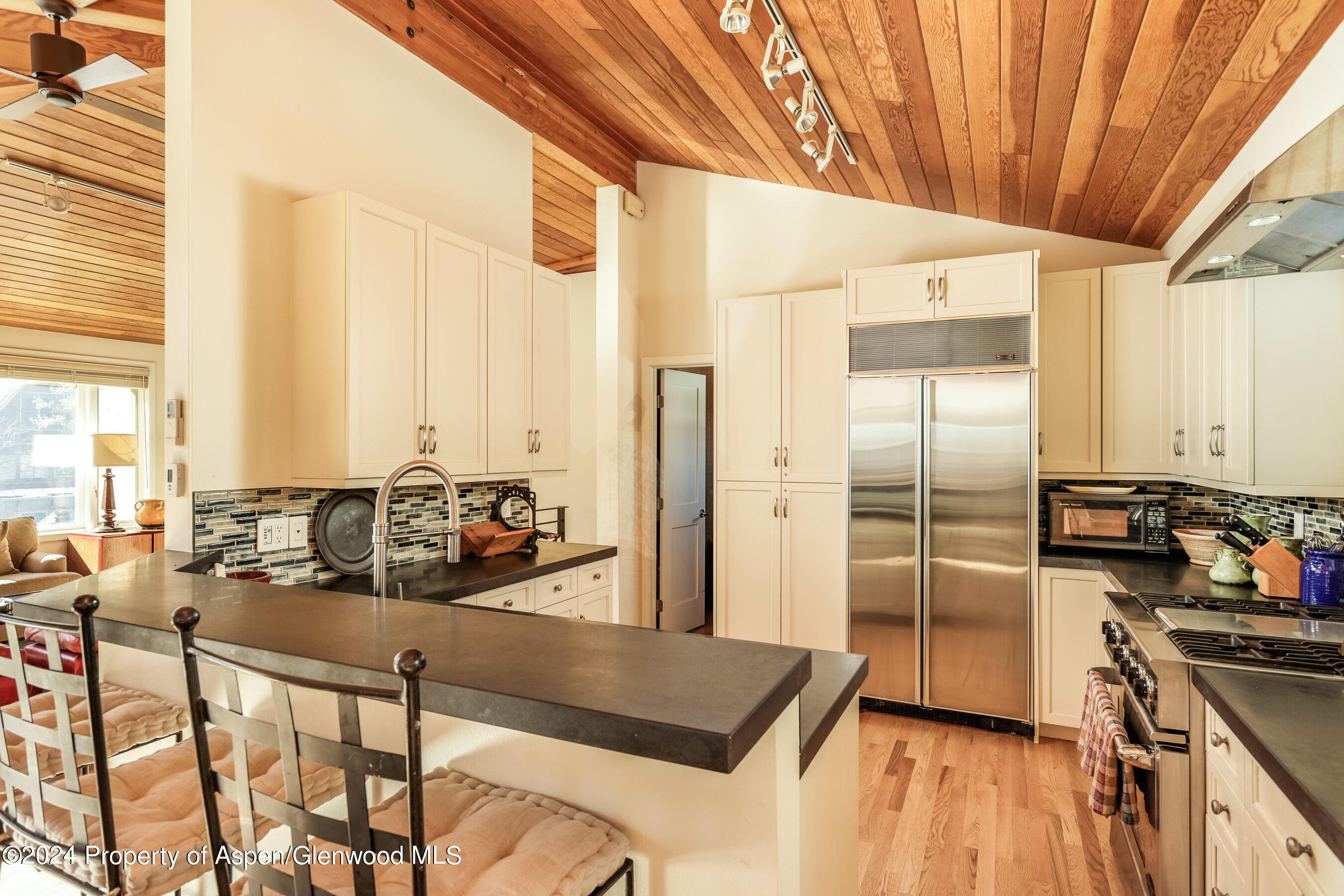 1006 E Hyman Avenue Aspen CO 81611